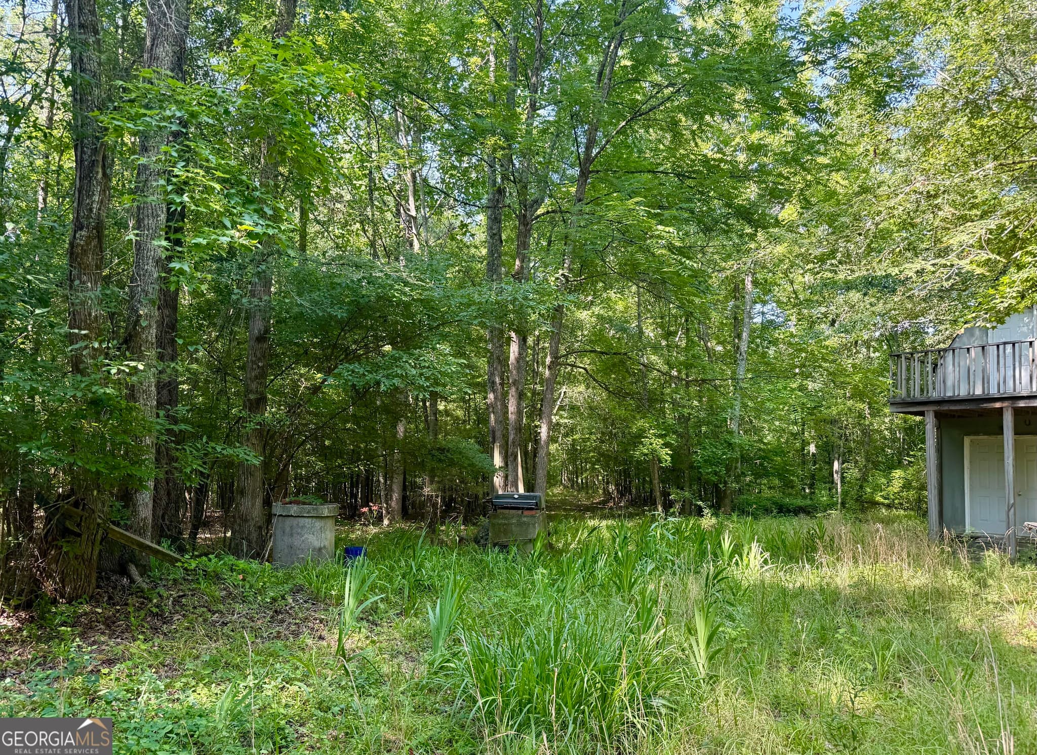 agriculture for sale at 0 N Point Peter Road, Carlton, GA 30627 — photo 4