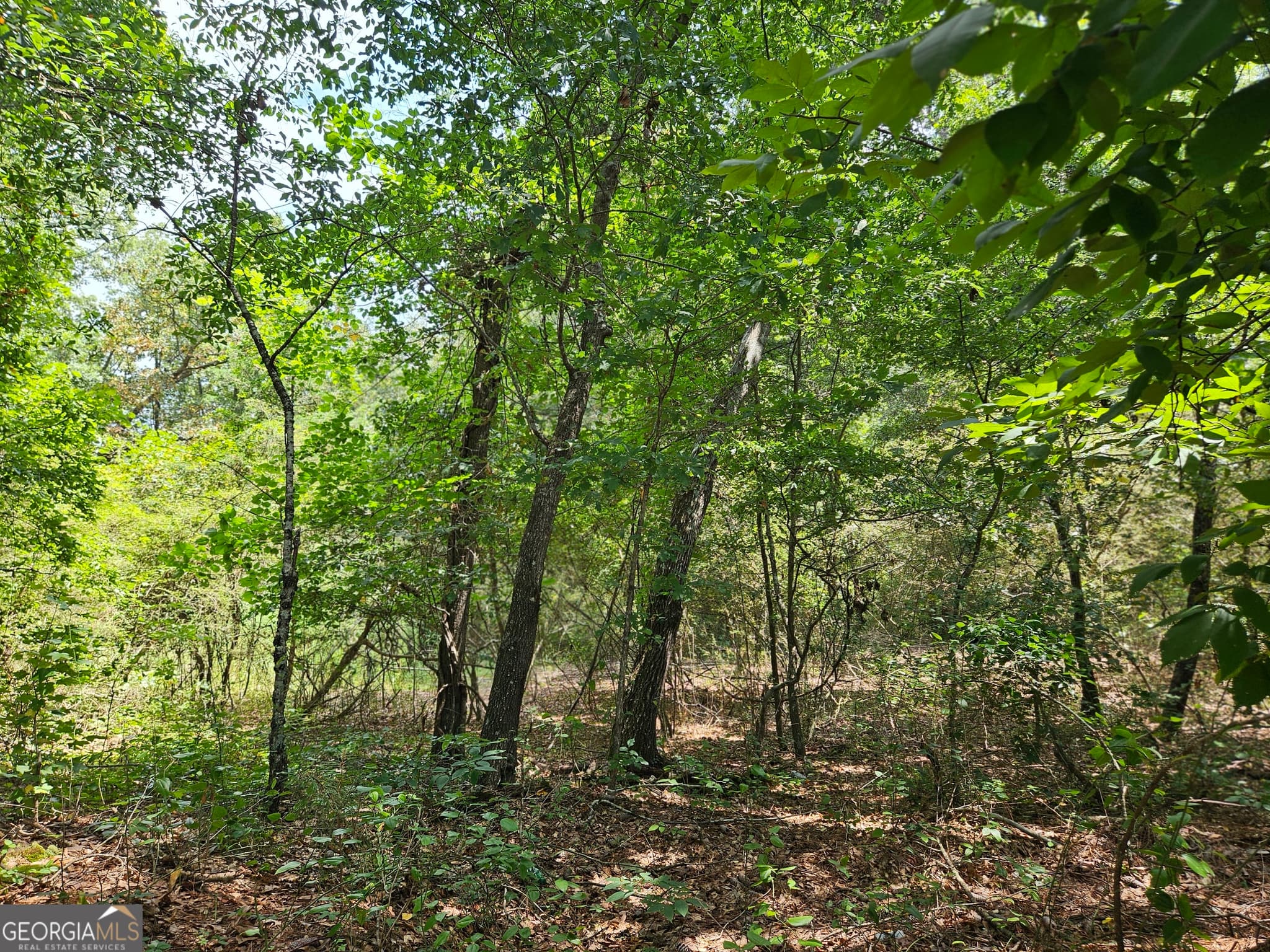 estate lot for sale at LOT 2 June Ivey Road, Bethlehem, GA 30620 — photo 2