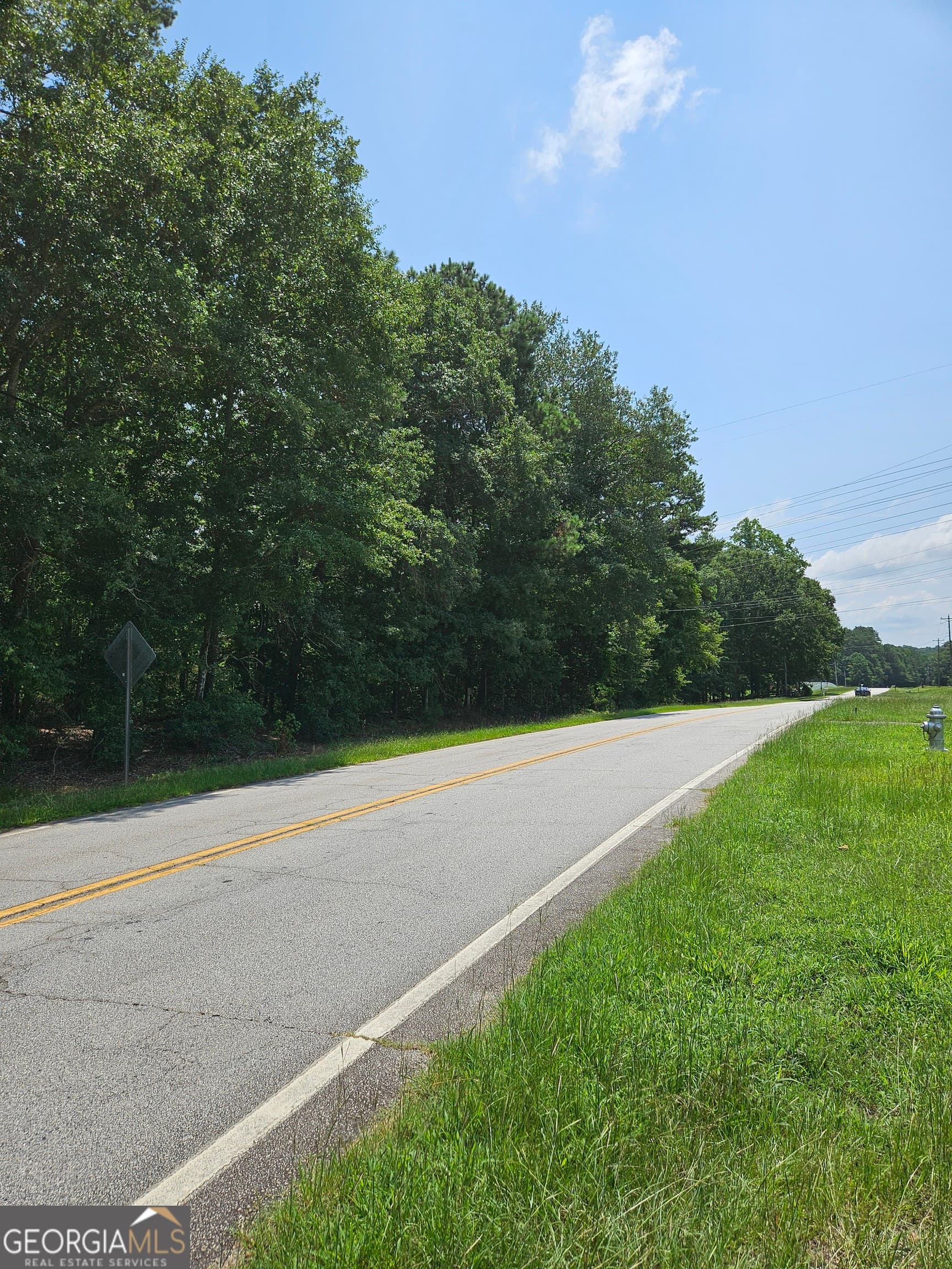 estate lot for sale at LOT 2 June Ivey Road, Bethlehem, GA 30620 — photo 7