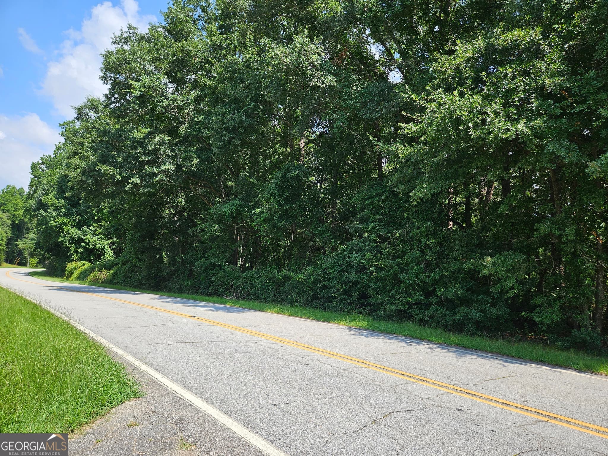 estate lot for sale at LOT 2 June Ivey Road, Bethlehem, GA 30620 — photo 10