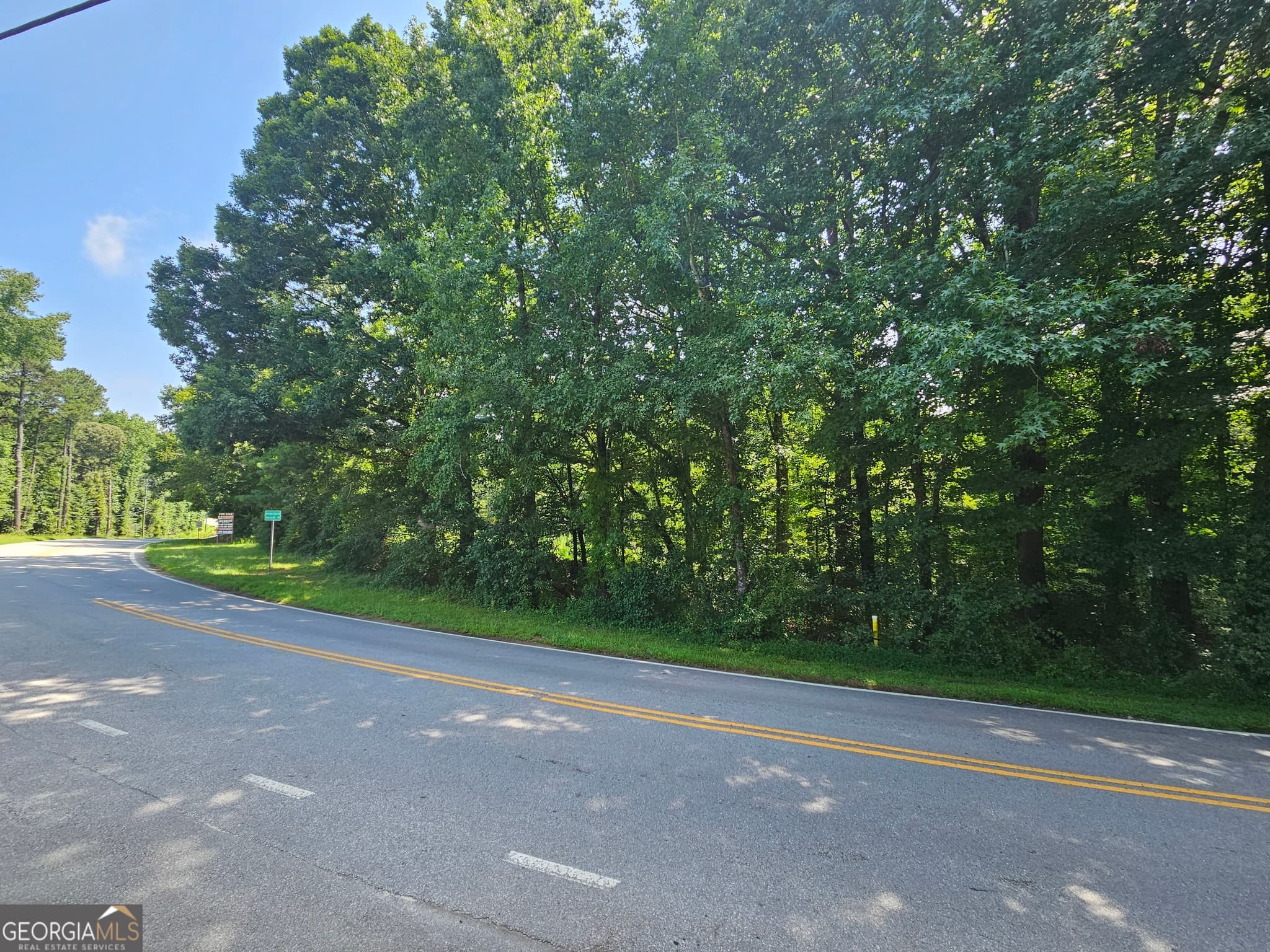 estate lot for sale at LOT 2 June Ivey Road, Bethlehem, GA 30620 — photo 4