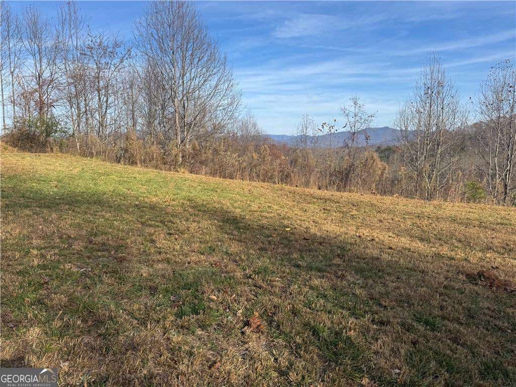 residential lot for sale at 1220 Chatuge Manor Drive, Young Harris, GA 30582 — photo 2