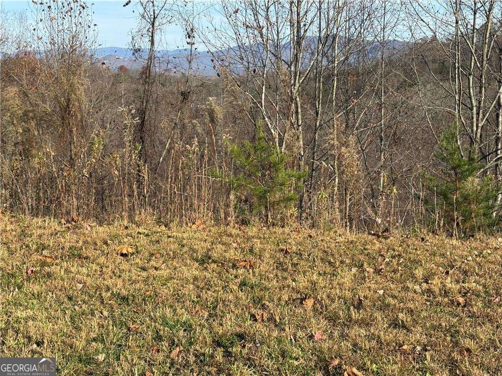 residential lot for sale at 1220 Chatuge Manor Drive, Young Harris, GA 30582 — photo 6