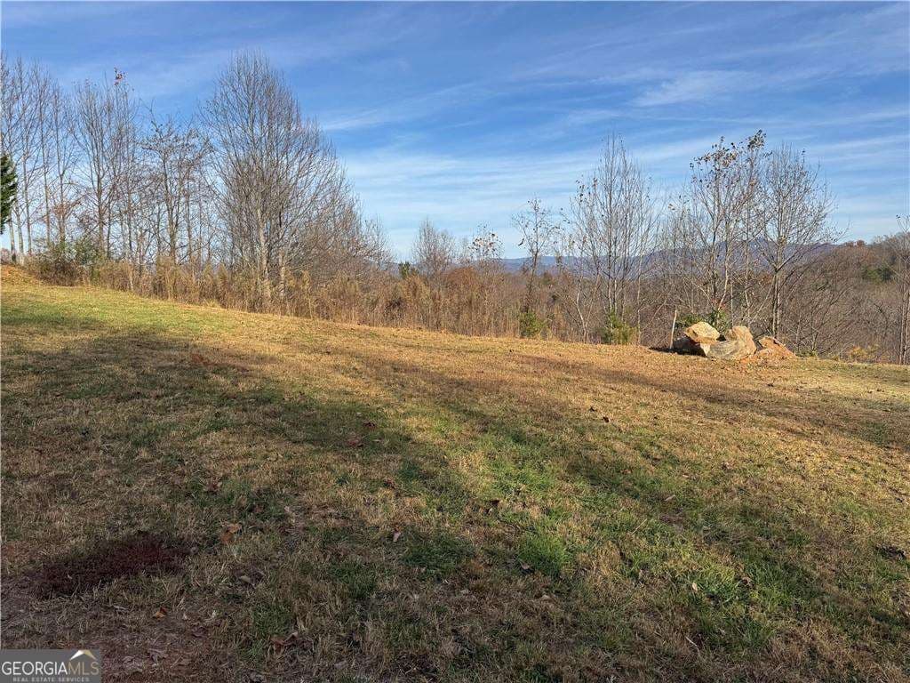residential lot for sale at 1220 Chatuge Manor Drive, Young Harris, GA 30582 — photo 7