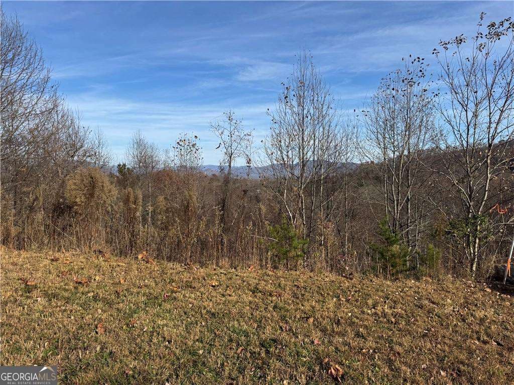 residential lot for sale at 1220 Chatuge Manor Drive, Young Harris, GA 30582 — photo 5