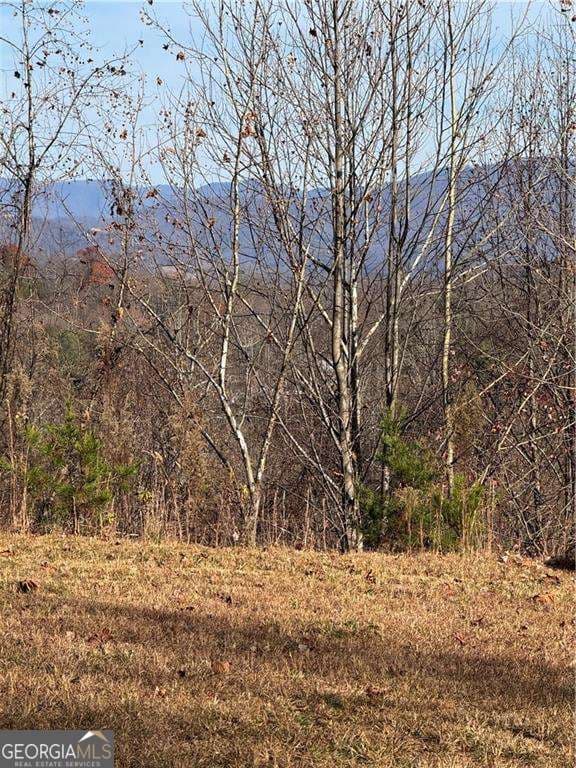 residential lot for sale at 1220 Chatuge Manor Drive, Young Harris, GA 30582 — photo 10