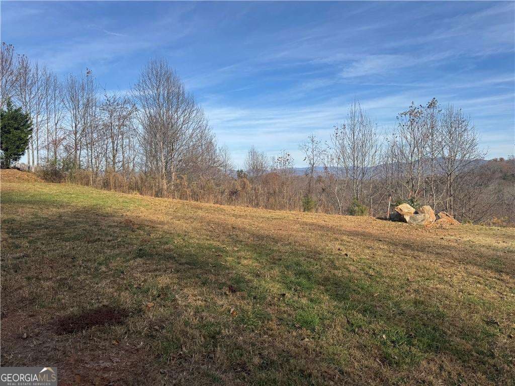 residential lot for sale at 1220 Chatuge Manor Drive, Young Harris, GA 30582 — photo 4