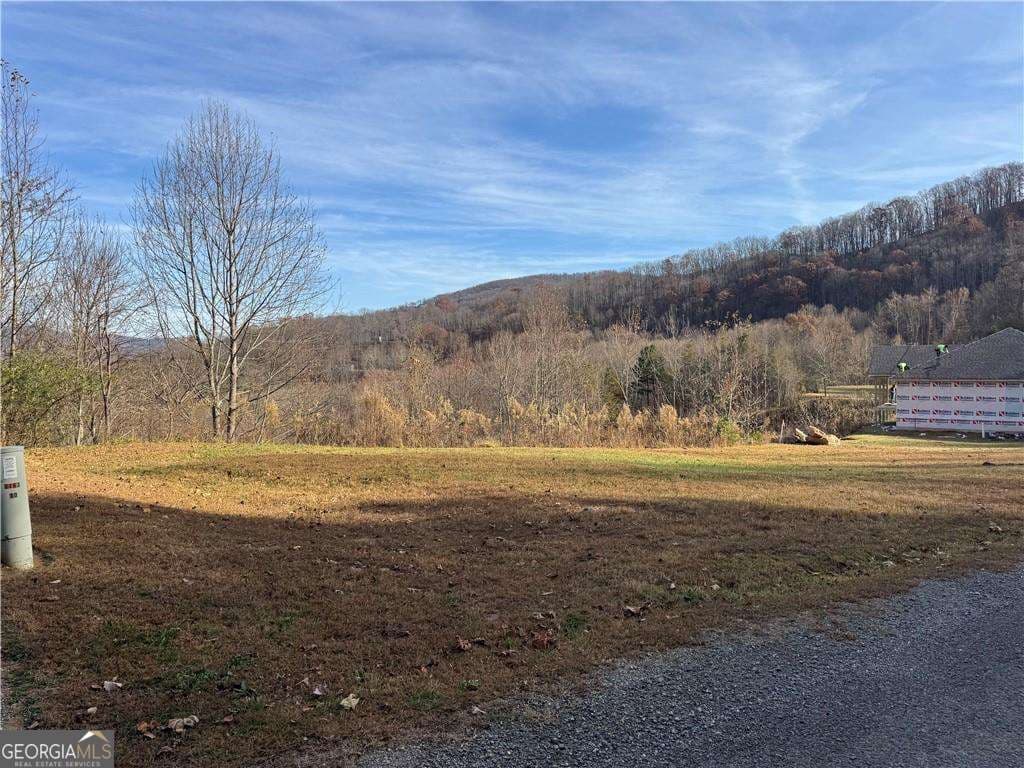 residential lot for sale at 1220 Chatuge Manor Drive, Young Harris, GA 30582 — photo 8