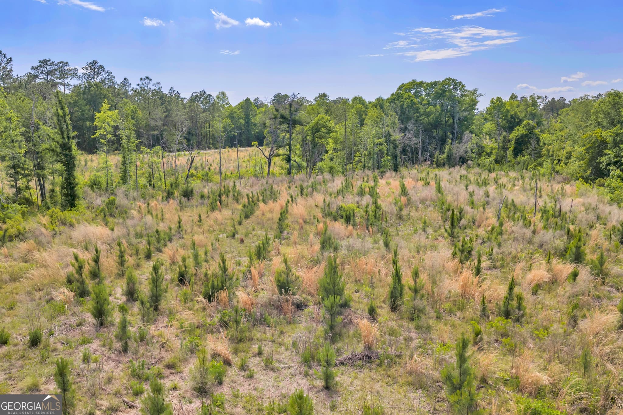 agriculture for sale at 0 US 82, Sylvester, GA 31791 — photo 2