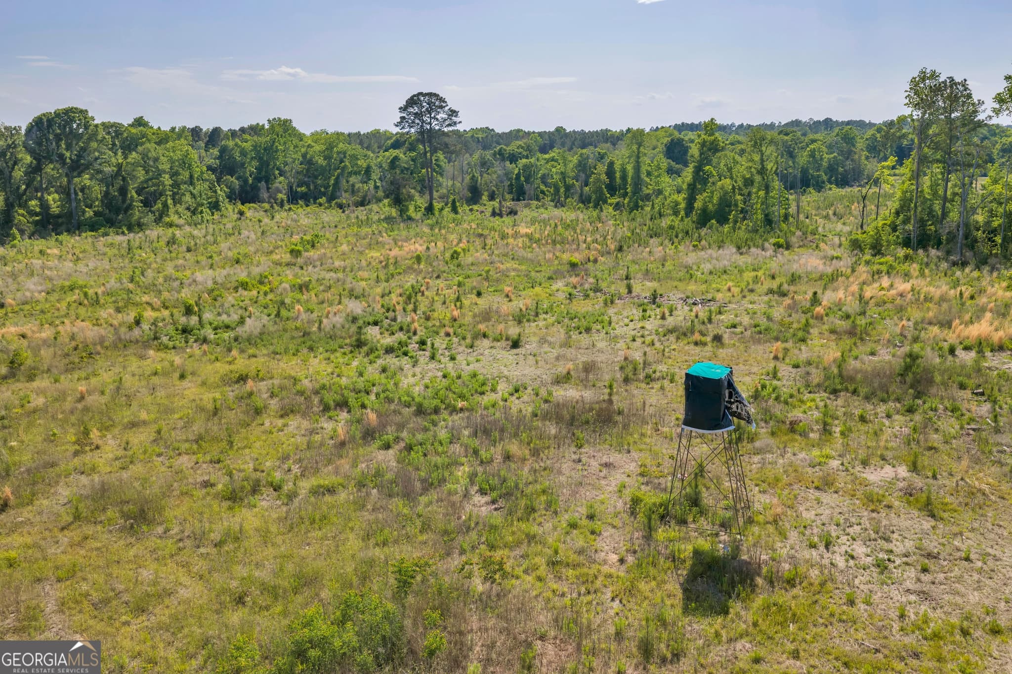 agriculture for sale at 0 US 82, Sylvester, GA 31791 — photo 3