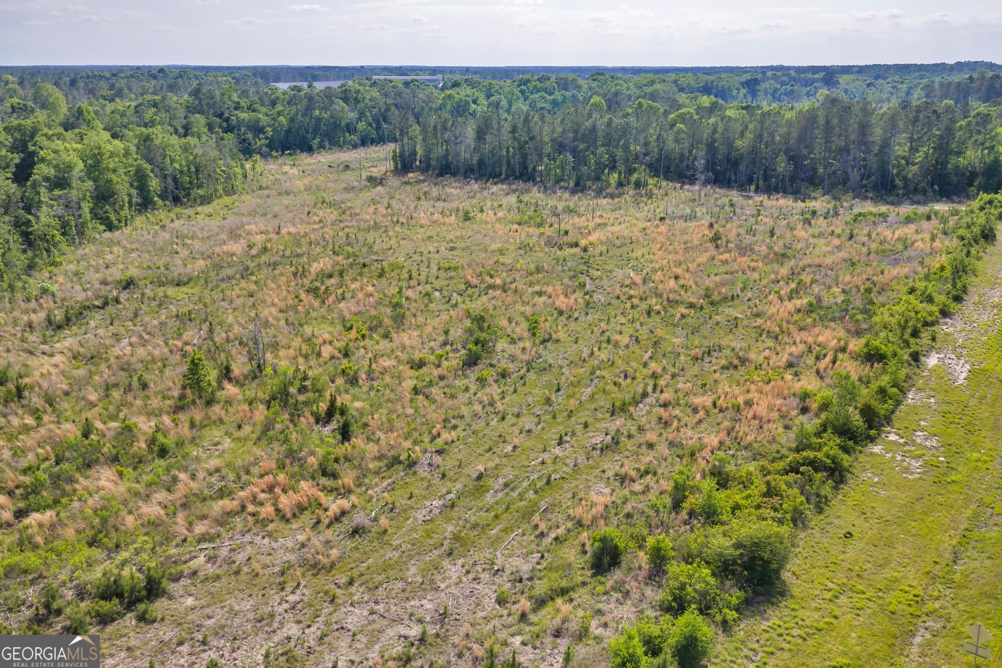agriculture for sale at 0 US 82, Sylvester, GA 31791 — photo 9
