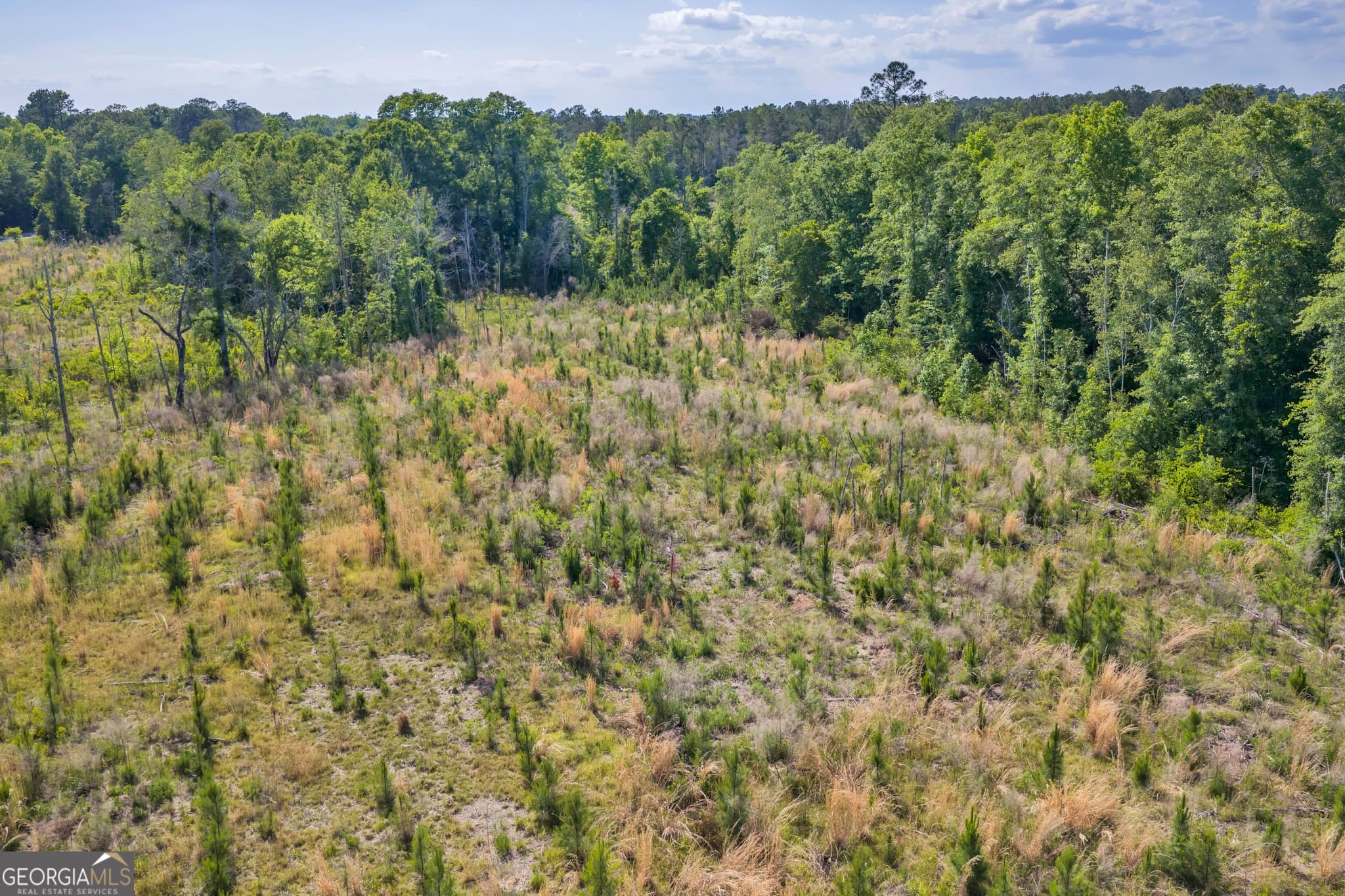 agriculture for sale at 0 US 82, Sylvester, GA 31791 — photo 10
