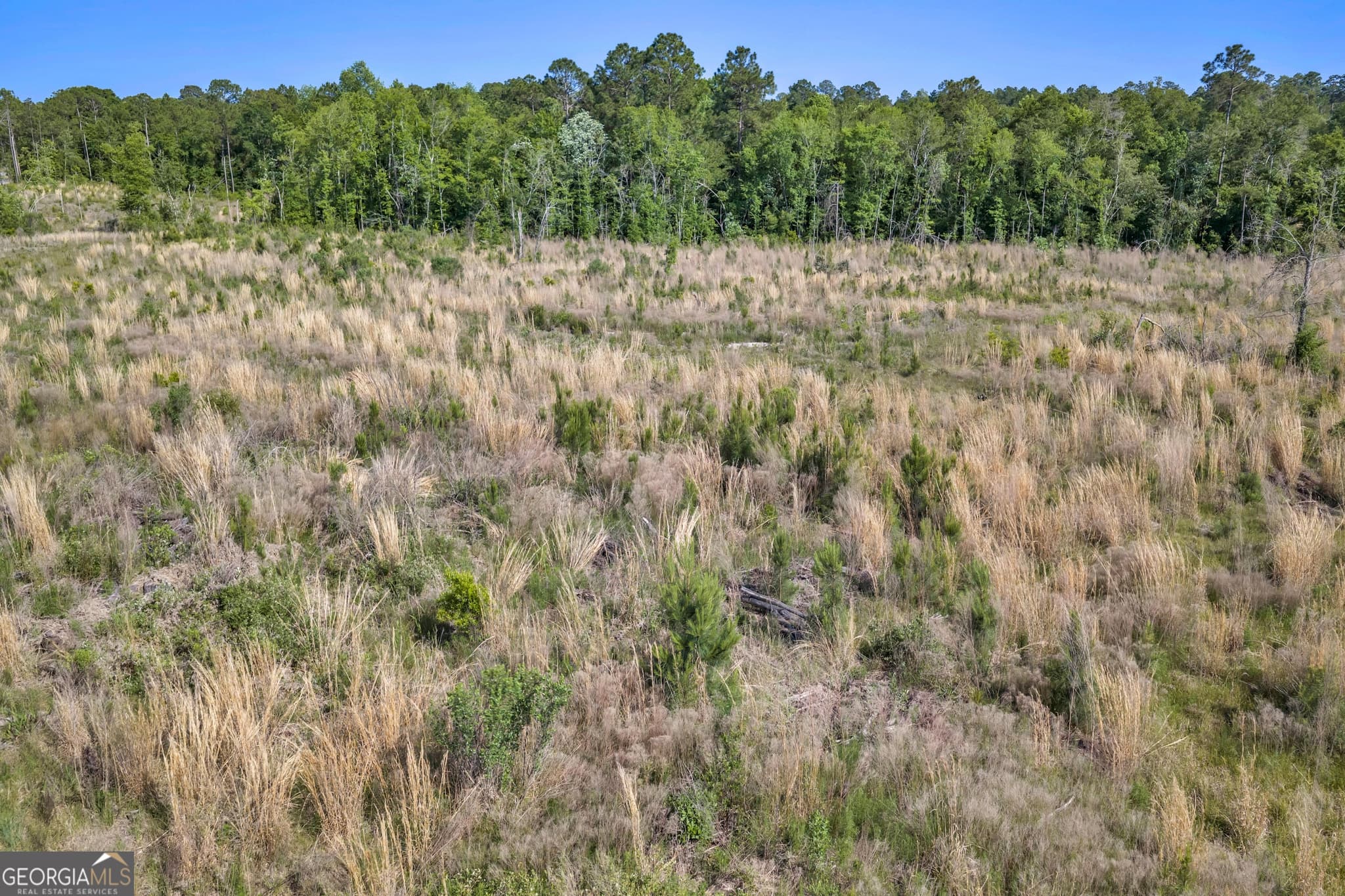 agriculture for sale at 0 US 82, Sylvester, GA 31791 — photo 8