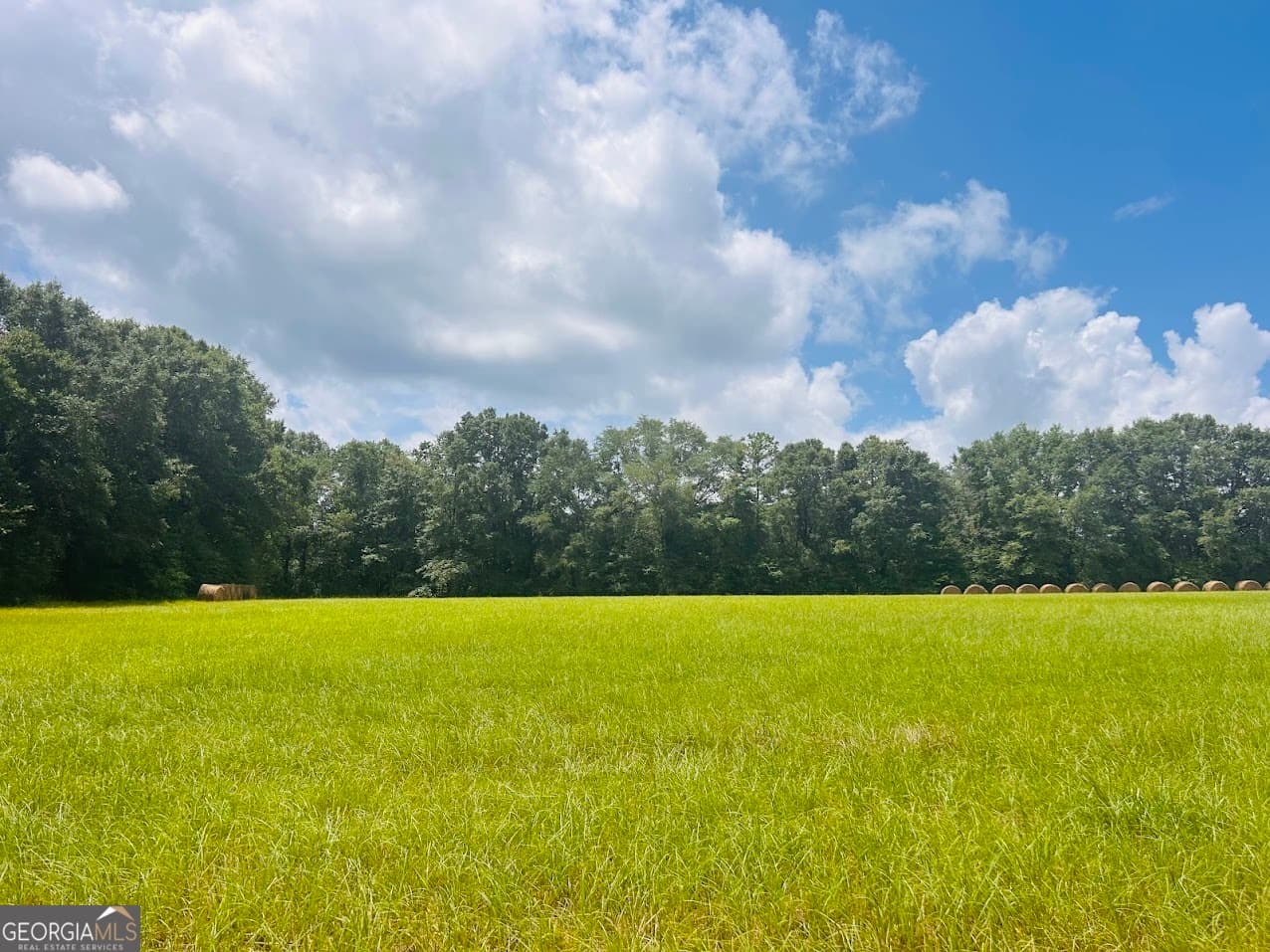 agriculture sold at 0 Fouche Road, Buena Vista, GA 31803
