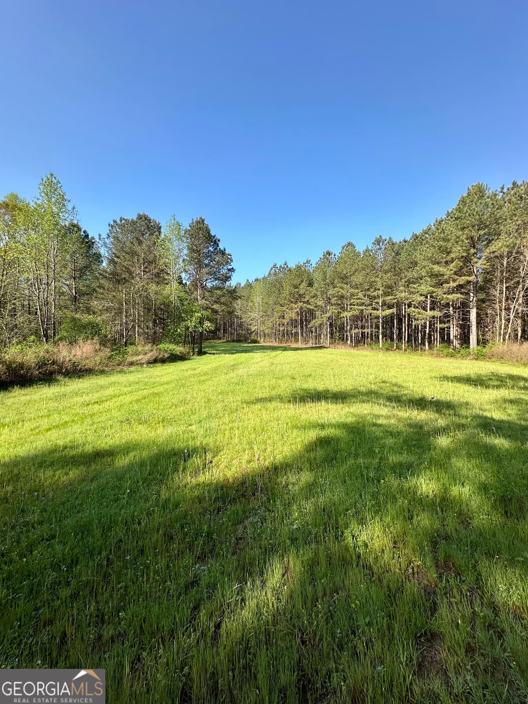 agriculture sold at 0 J.W. Dunn Road, Warm Springs, GA 31830