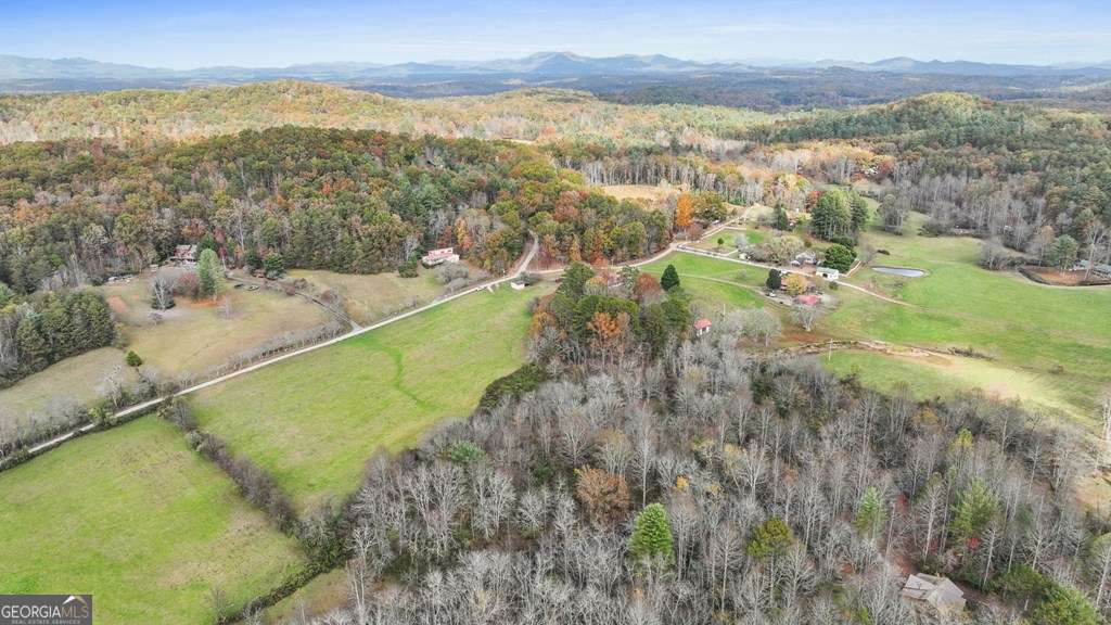unimproved land for sale at 14.36 AC Night Lane, Epworth, GA 30541 — photo 6