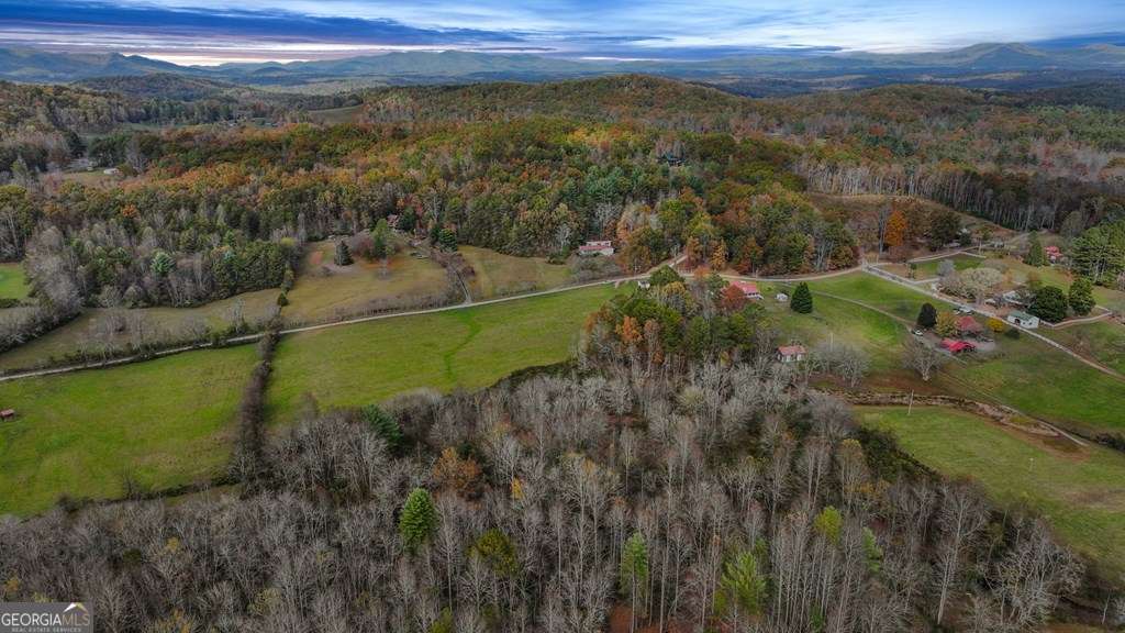 unimproved land for sale at 14.36 AC Night Lane, Epworth, GA 30541 — photo 3