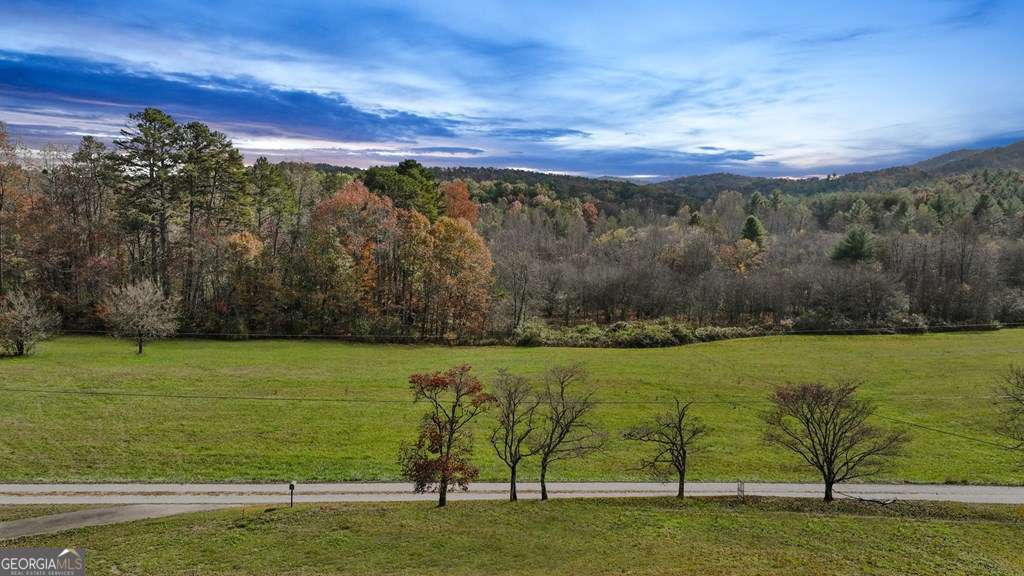 unimproved land for sale at 14.36 AC Night Lane, Epworth, GA 30541 — photo 10