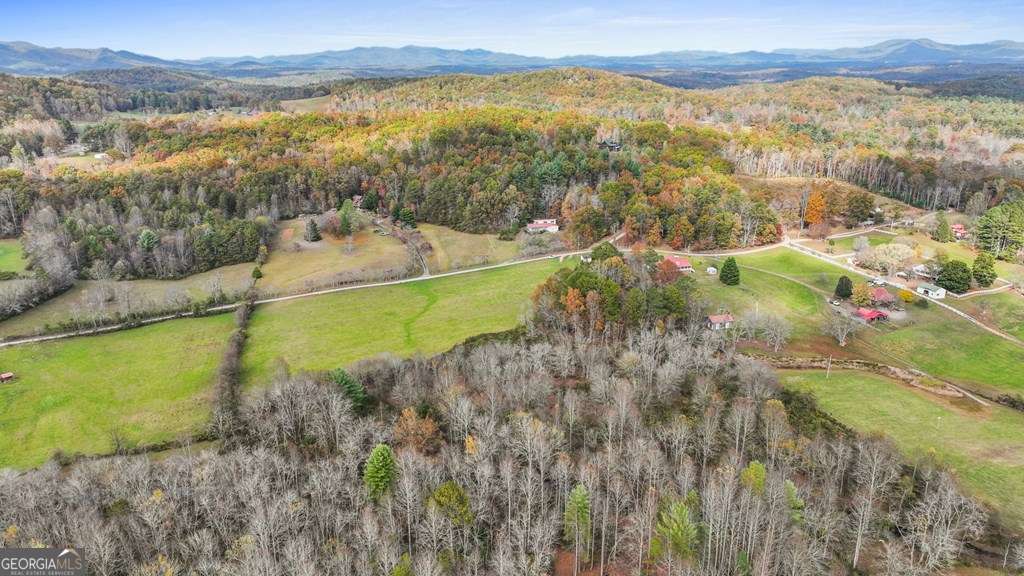 unimproved land for sale at 14.36 AC Night Lane, Epworth, GA 30541 — photo 4