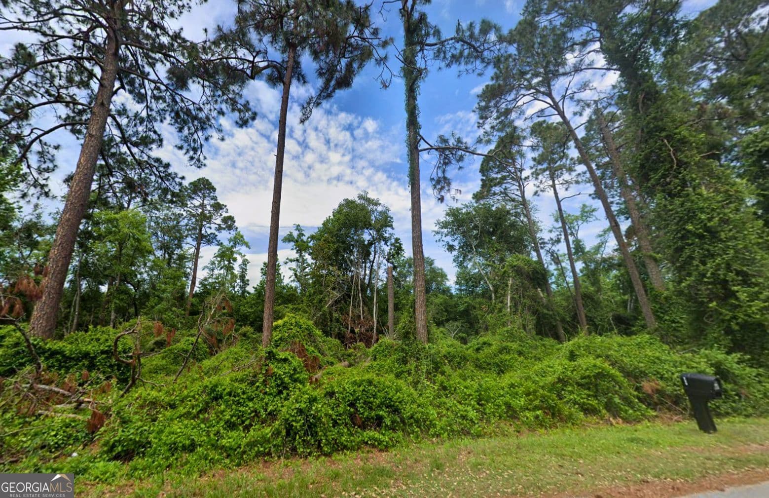 residential lot for sale at TBD1 Harmon Road, Swainsboro, GA 30401 — photo 10