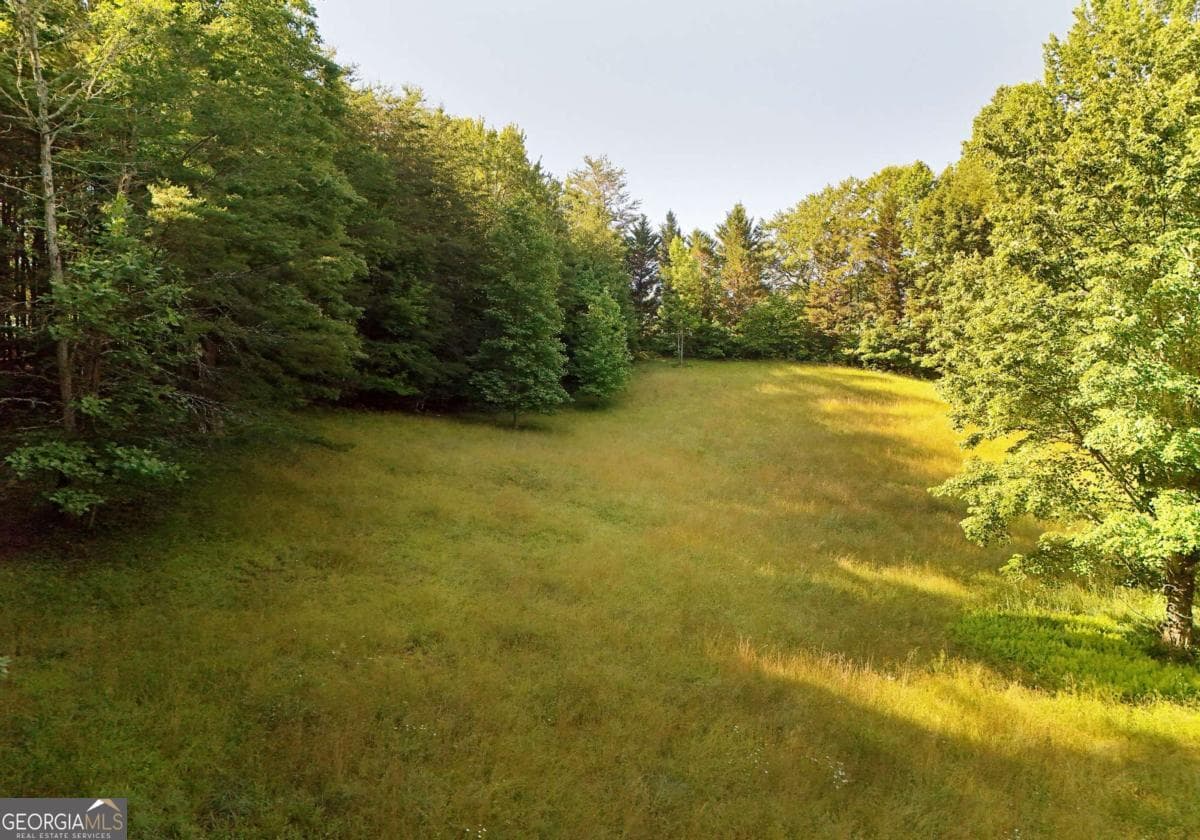 2 bedroom, 1 bathroom, 864 sq ft cabin,single family residence for sale at 175 Bell Road, Mineral Bluff, GA 30559 — photo 5