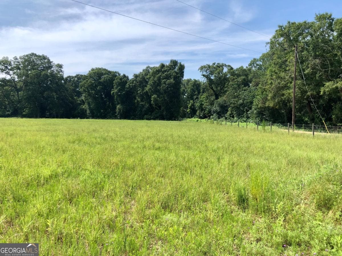 unimproved land for sale at 204 Nevils Groveland Road, Statesboro, GA 30458 — photo 2