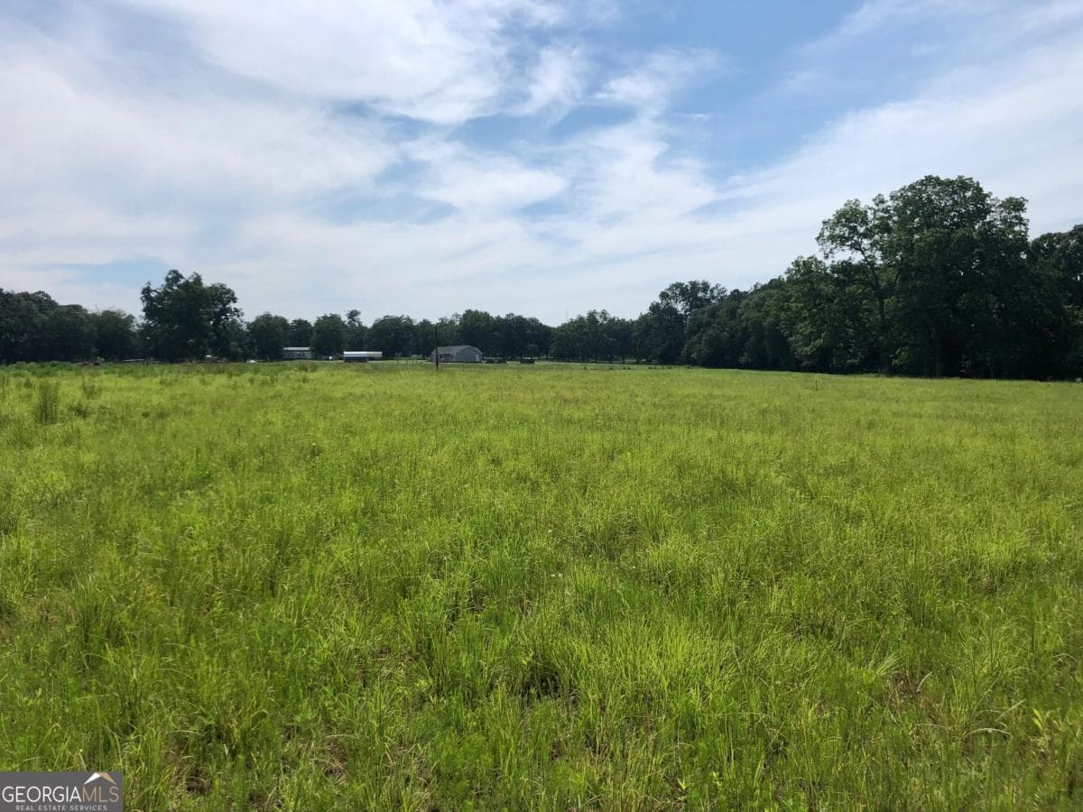unimproved land for sale at 204 Nevils Groveland Road, Statesboro, GA 30458 — photo 6