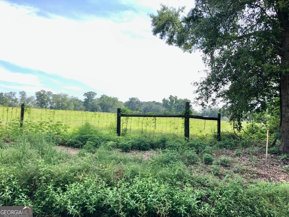 unimproved land for sale at 204 Nevils Groveland Road, Statesboro, GA 30458 — photo 7