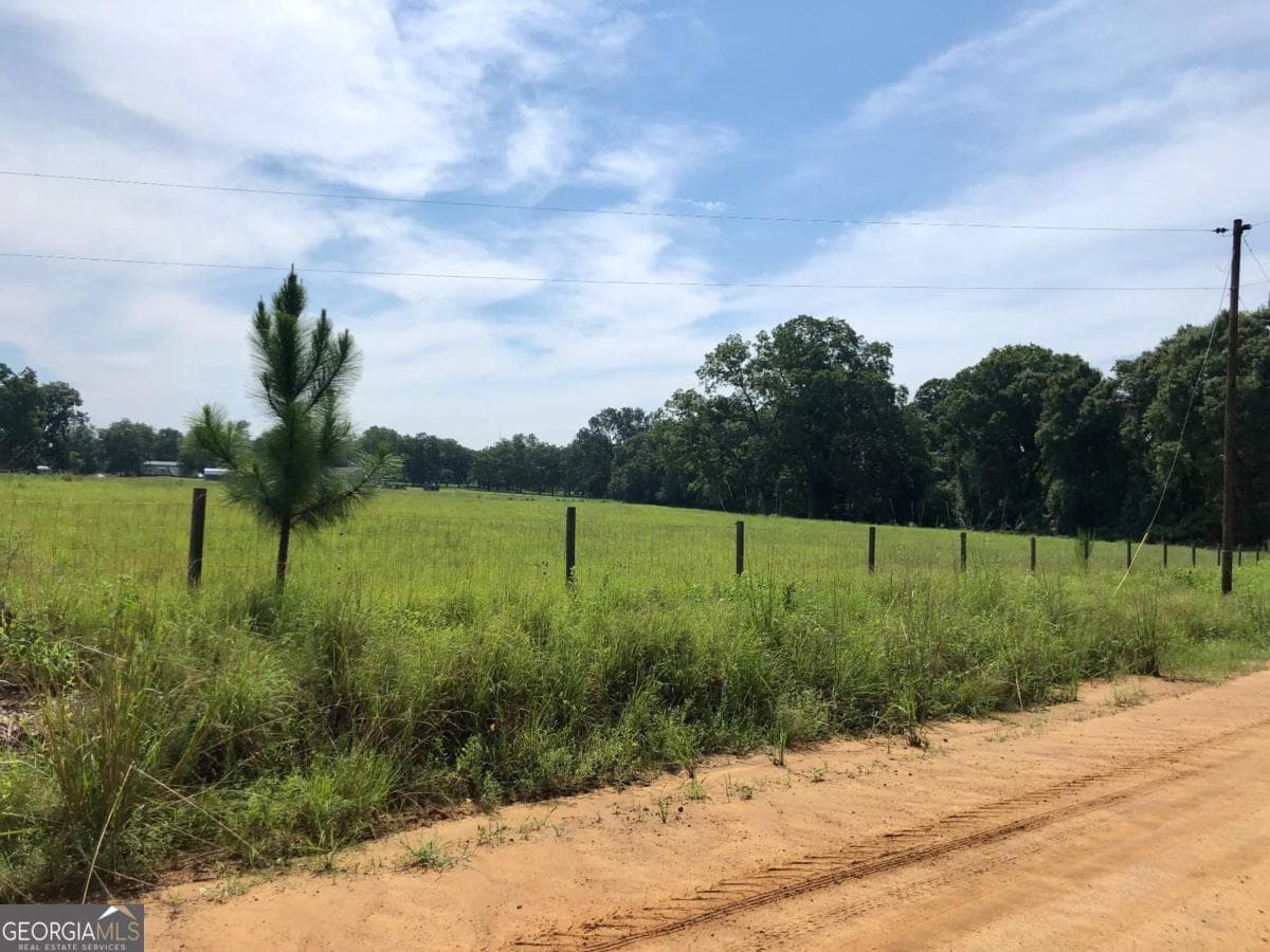 unimproved land for sale at 204 Nevils Groveland Road, Statesboro, GA 30458 — photo 3