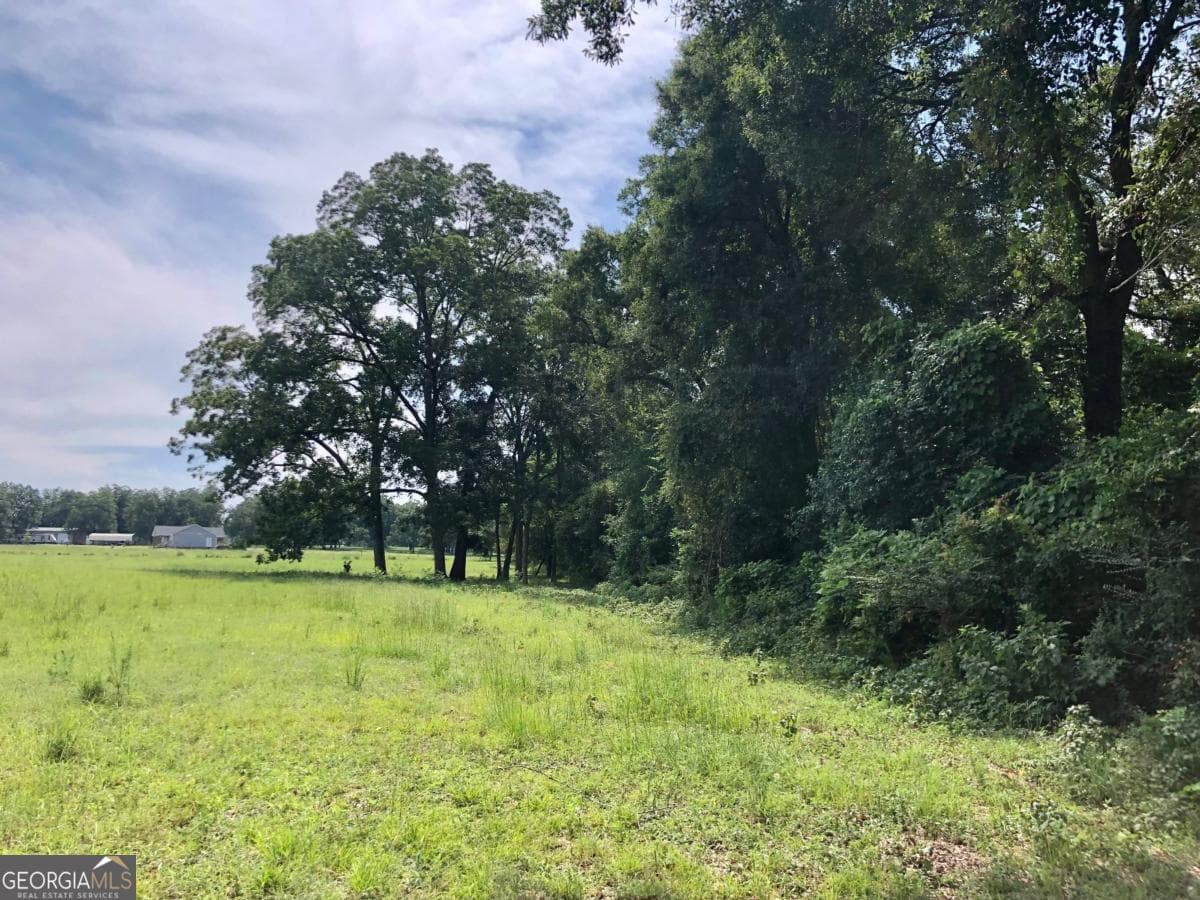 unimproved land for sale at 204 Nevils Groveland Road, Statesboro, GA 30458 — photo 1 of 8