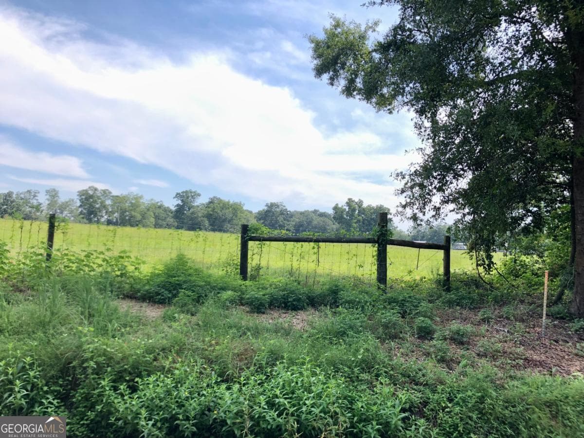unimproved land for sale at 204 Nevils Groveland Road, Statesboro, GA 30458 — photo 5