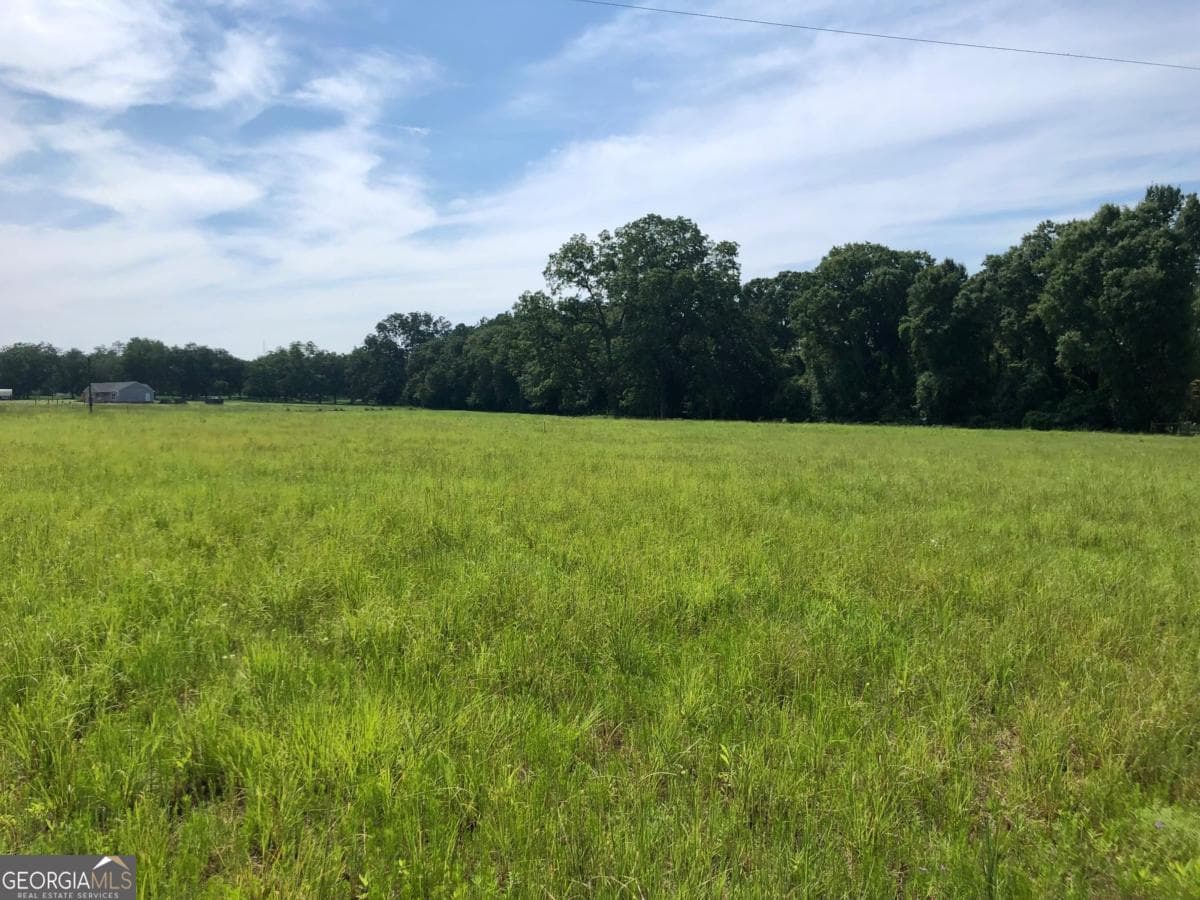unimproved land for sale at 204 Nevils Groveland Road, Statesboro, GA 30458 — photo 4