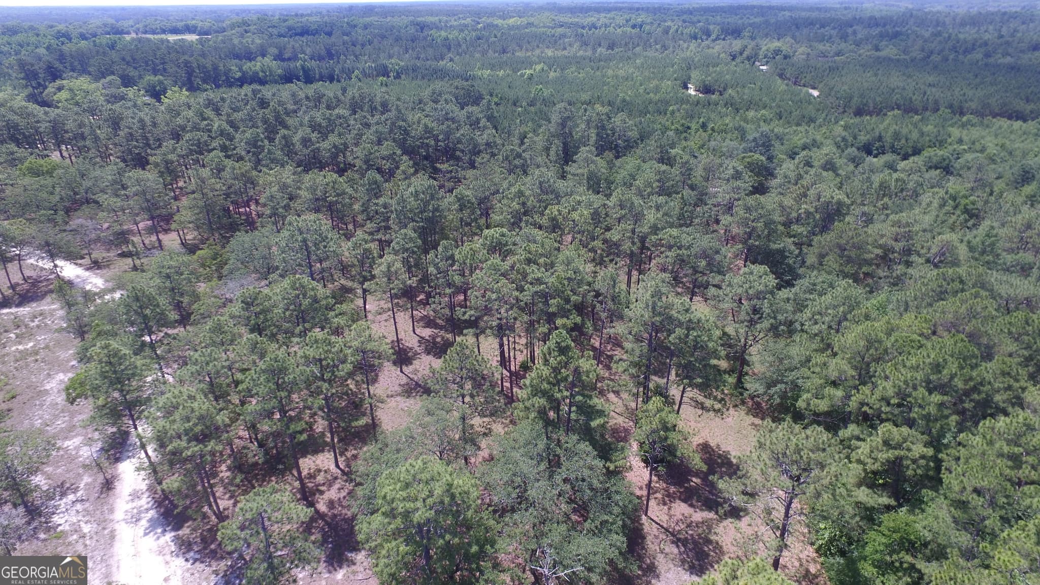 residential lot for sale at 0 Ben Grady Collins Road LOT 1, Portal, GA 30450 — photo 5