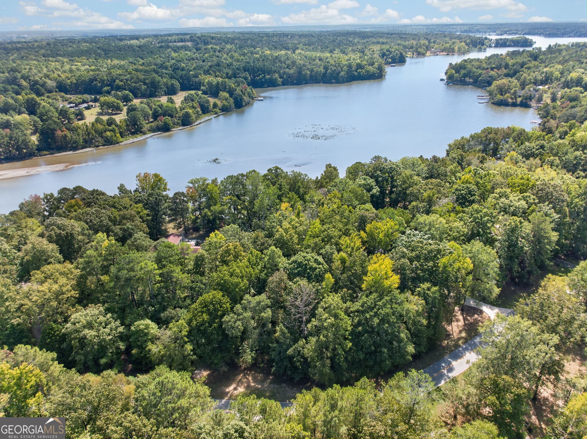 residential lot for sale at 123 Sugar Creek Trail, Buckhead, GA 30625 — photo 2