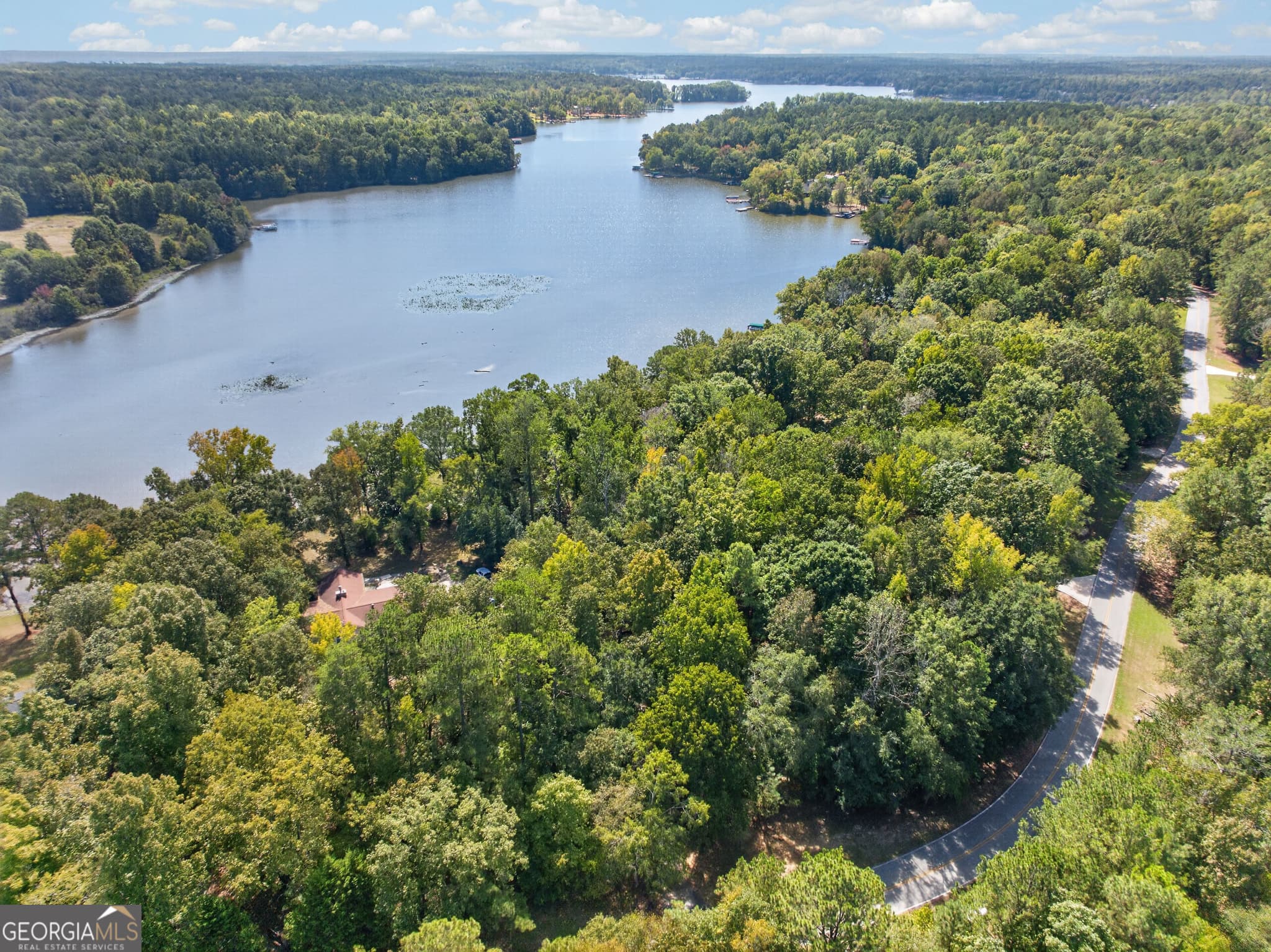 residential lot for sale at 123 Sugar Creek Trail, Buckhead, GA 30625 — photo 3
