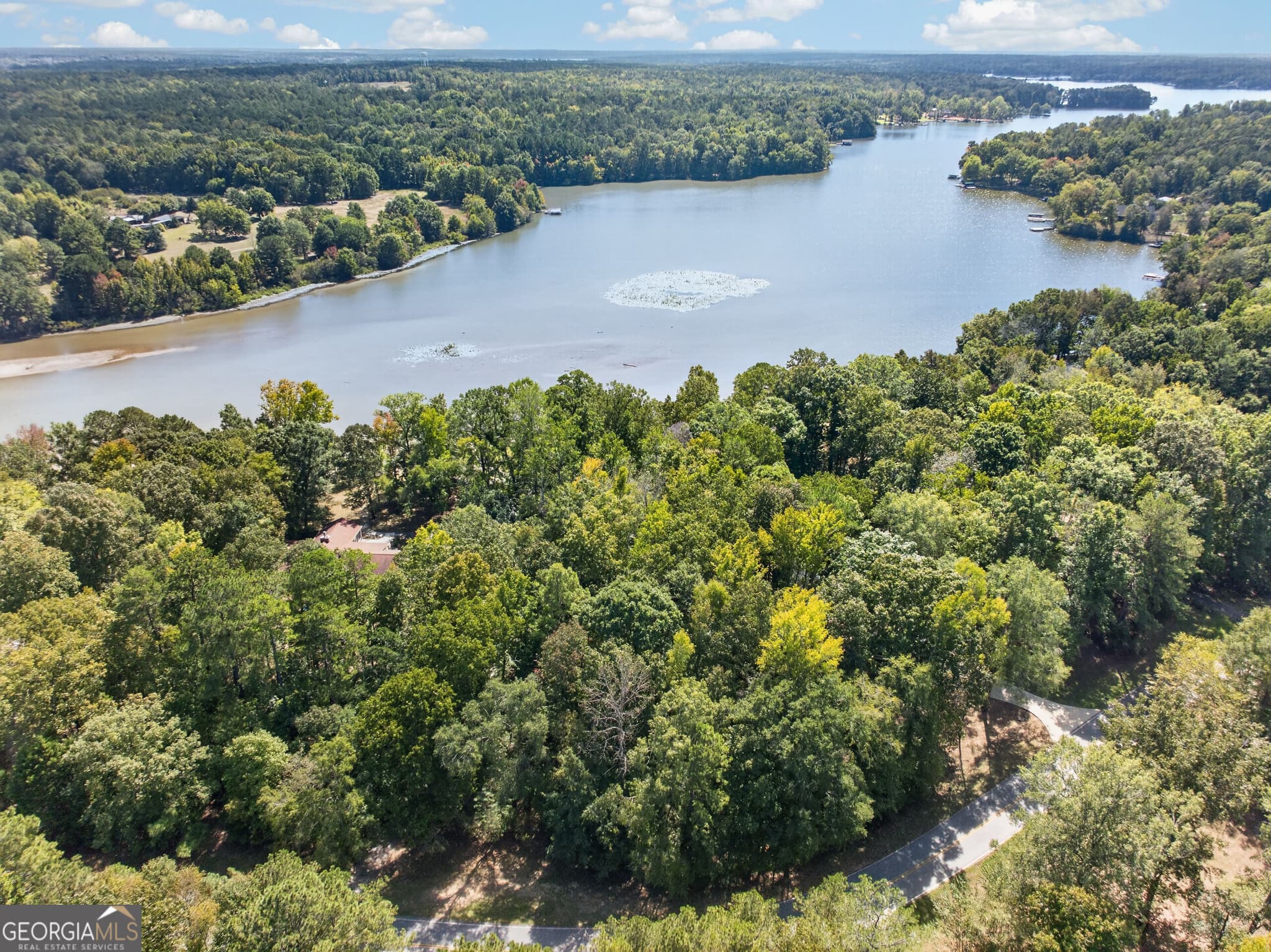 residential lot for sale at 123 Sugar Creek Trail, Buckhead, GA 30625 — photo 9