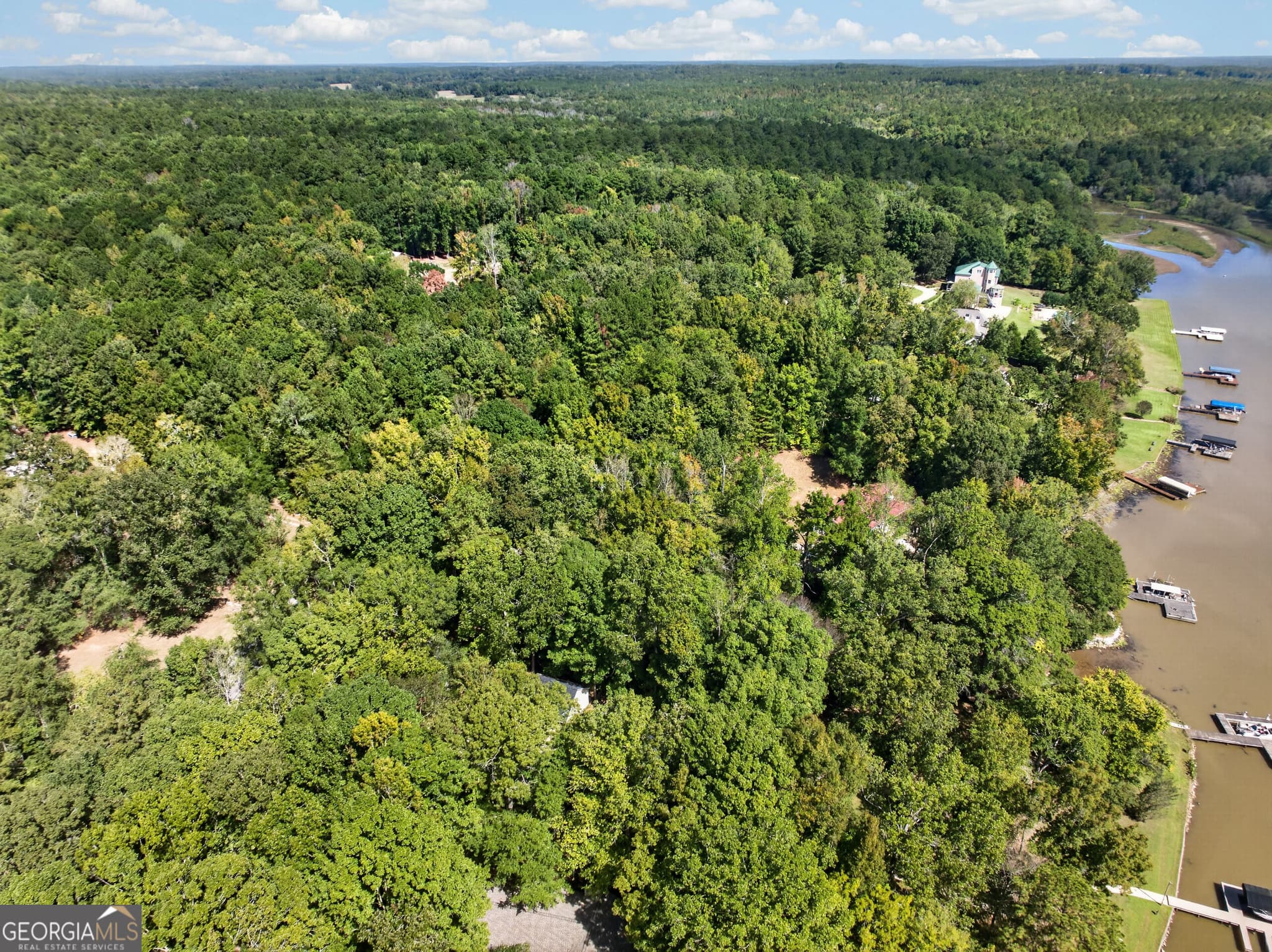 residential lot for sale at 123 Sugar Creek Trail, Buckhead, GA 30625 — photo 8