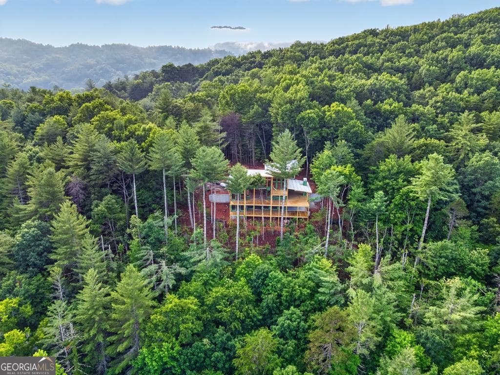 5 bedroom, 5.5 bathroom cabin,single family residence for sale at LOT 3C Stanley Creek Road, Cherry Log, GA 30522