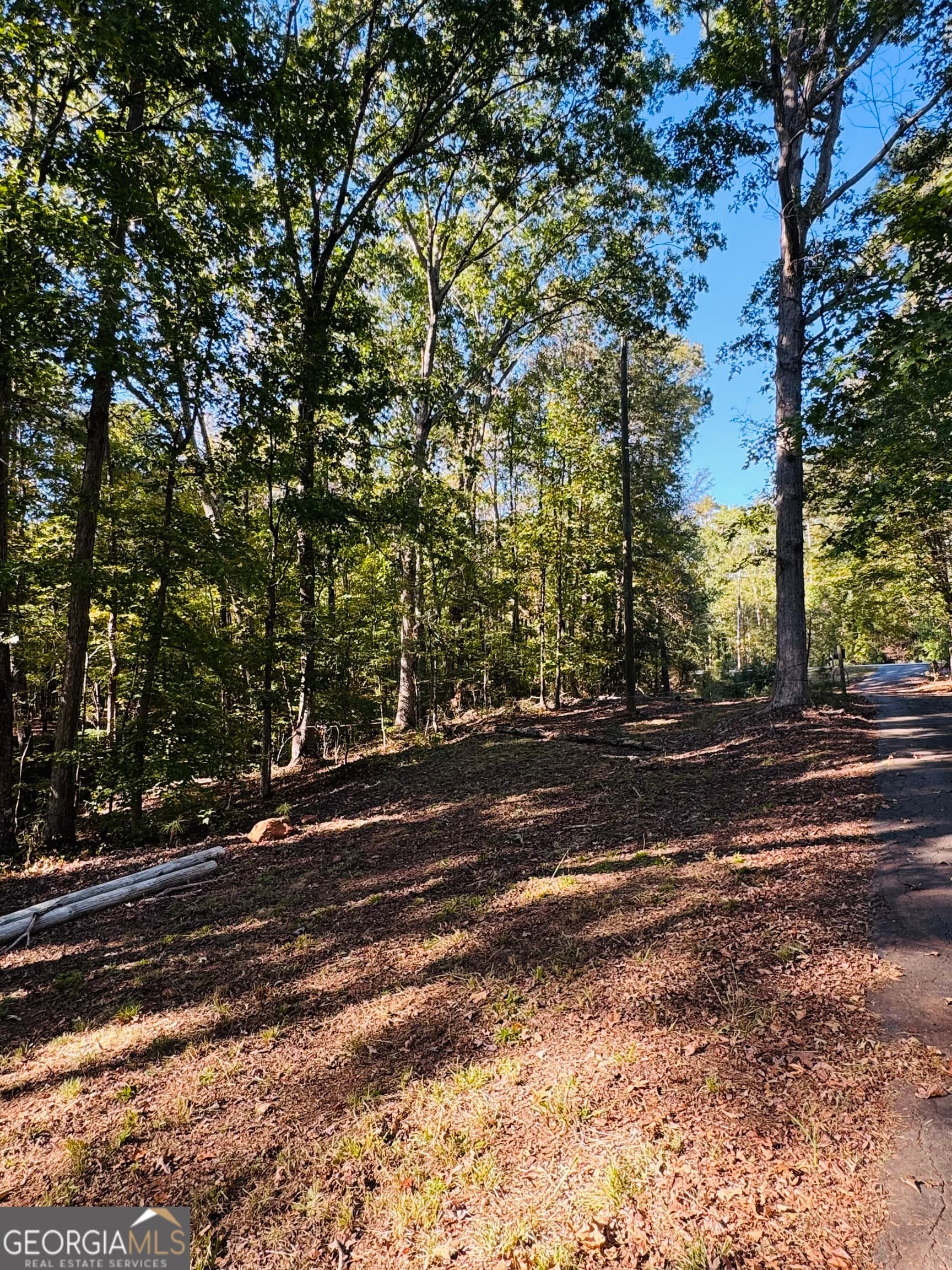 3 bedroom, 2 bathroom, 1,746 sq ft single family residence for sale at 1516 Stark Road, Jackson, GA 30233 — photo 4
