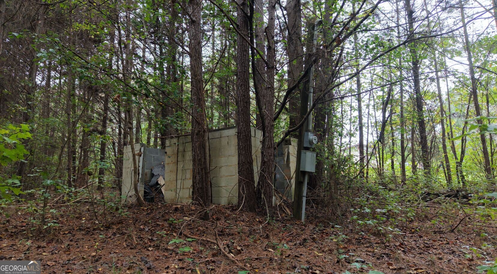 residential lot for sale at 0 Villa Rica Highway, Villa Rica, GA 30180 — photo 7