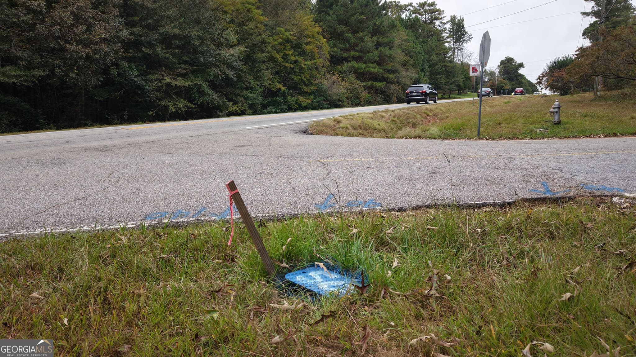 residential lot for sale at 0 Villa Rica Highway, Villa Rica, GA 30180 — photo 9