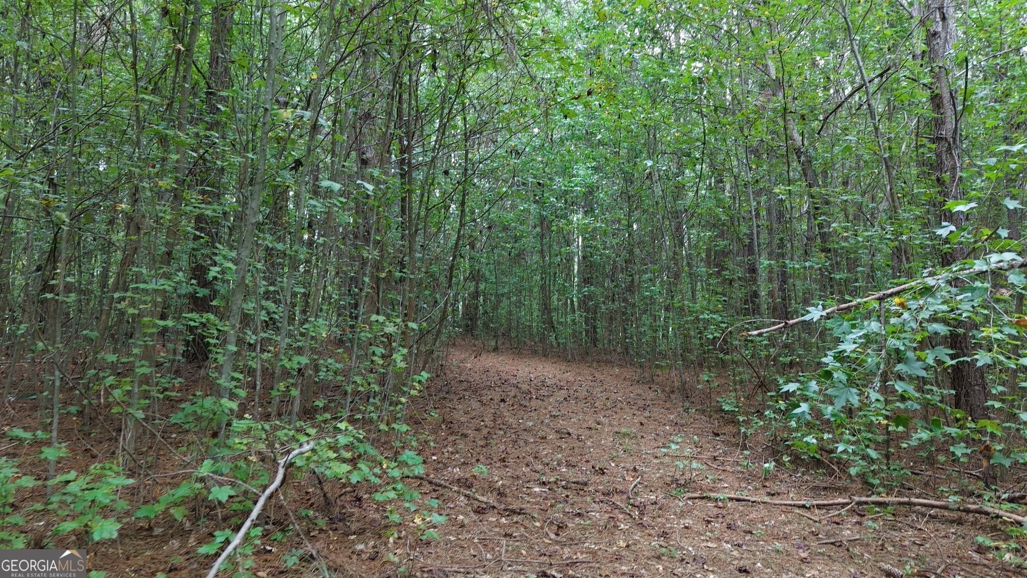 residential lot for sale at 0 Villa Rica Highway, Villa Rica, GA 30180 — photo 8