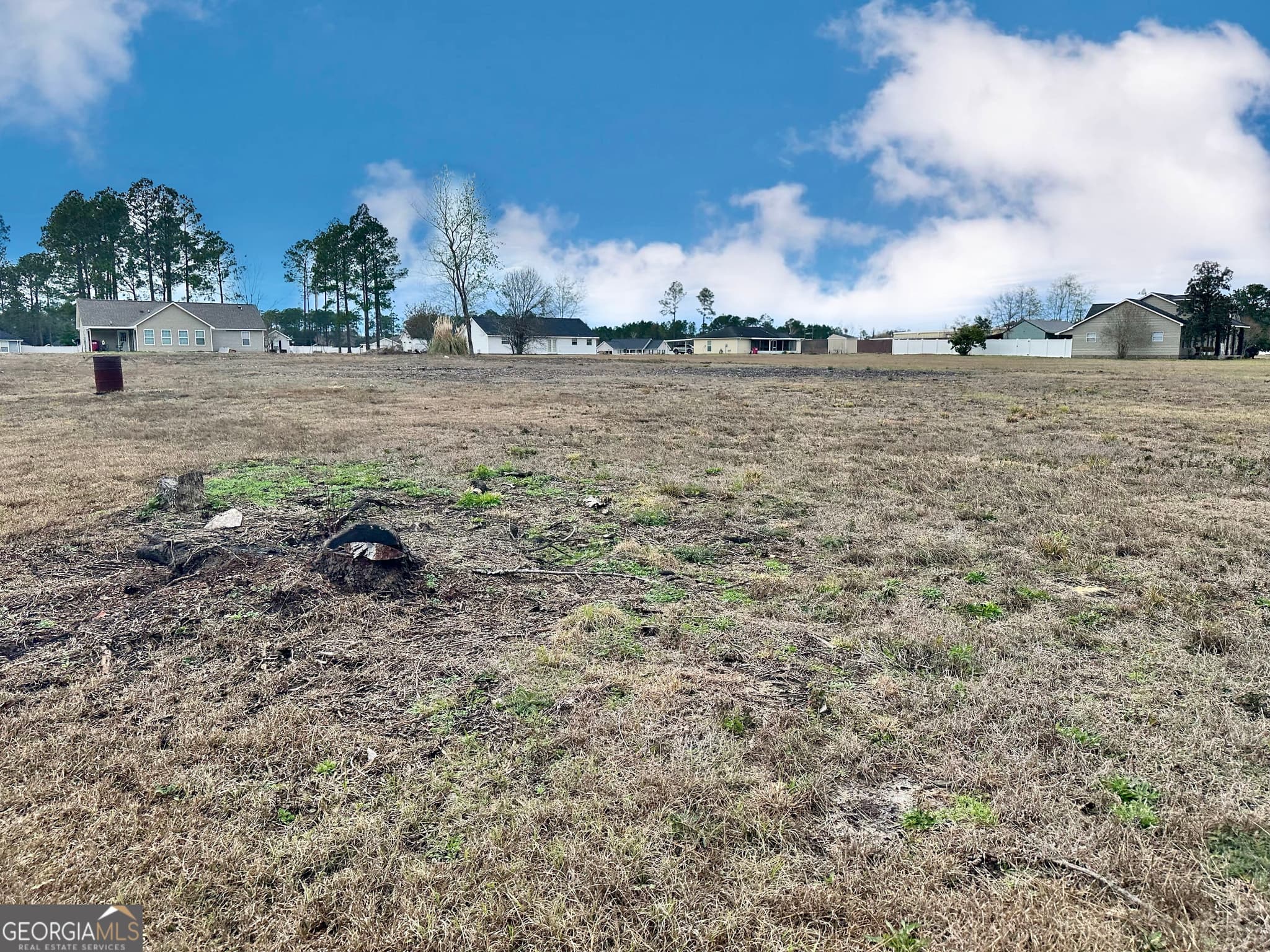 residential lot for sale at 0 Southside Drive, Blackshear, GA 31516 — photo 2