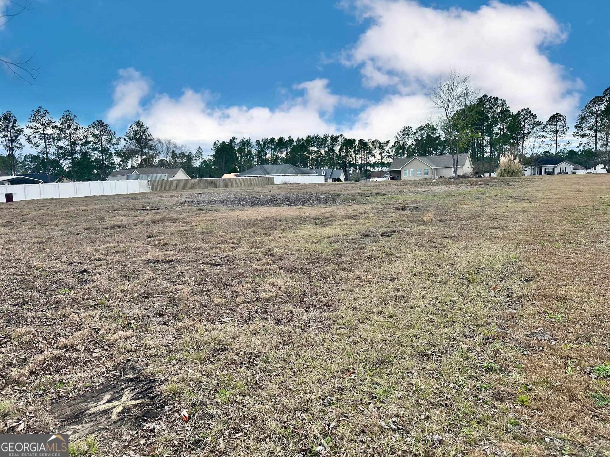 residential lot for sale at 0 Southside Drive, Blackshear, GA 31516 — photo 3