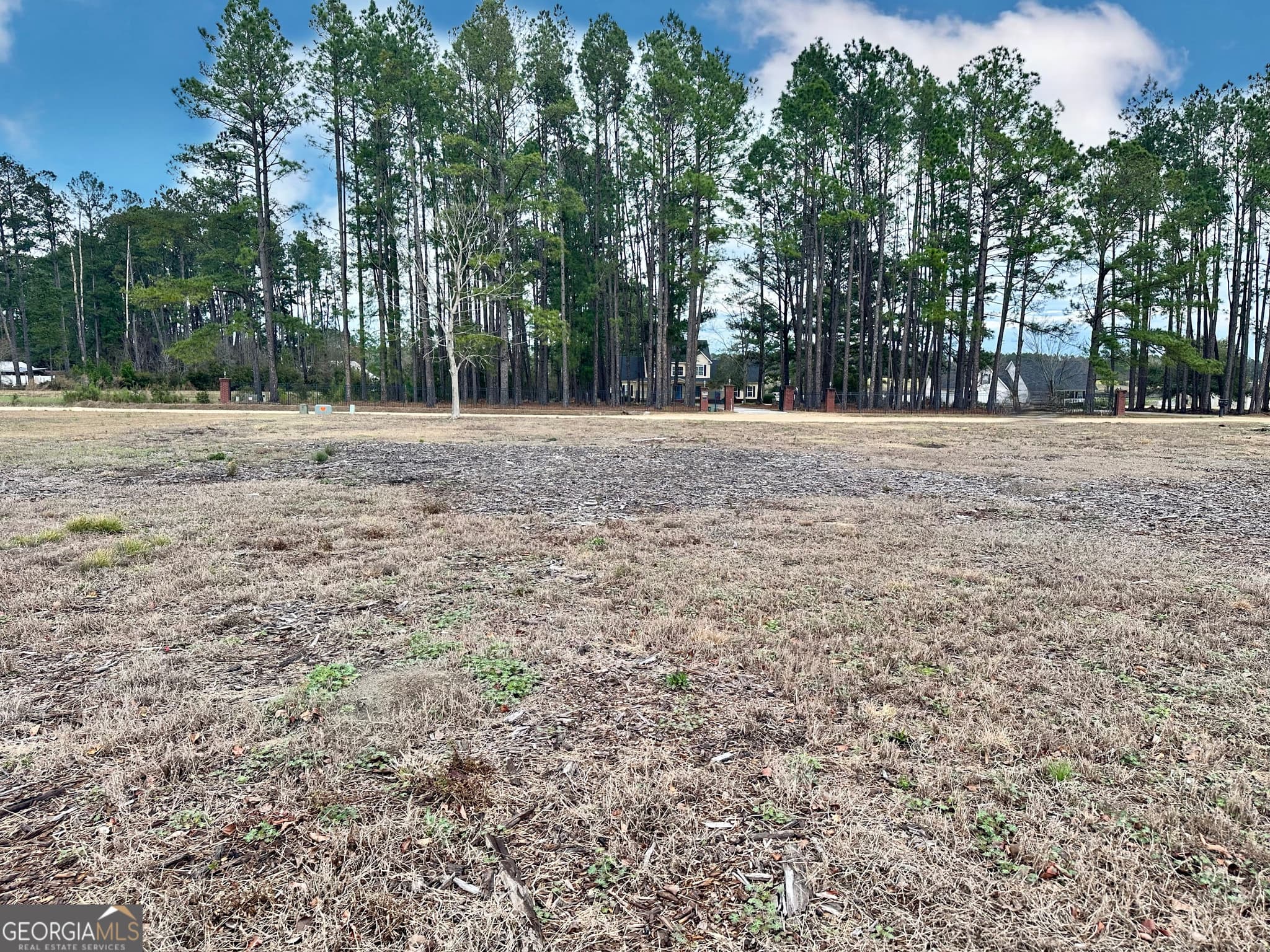 residential lot for sale at 0 Southside Drive, Blackshear, GA 31516 — photo 1 of 11