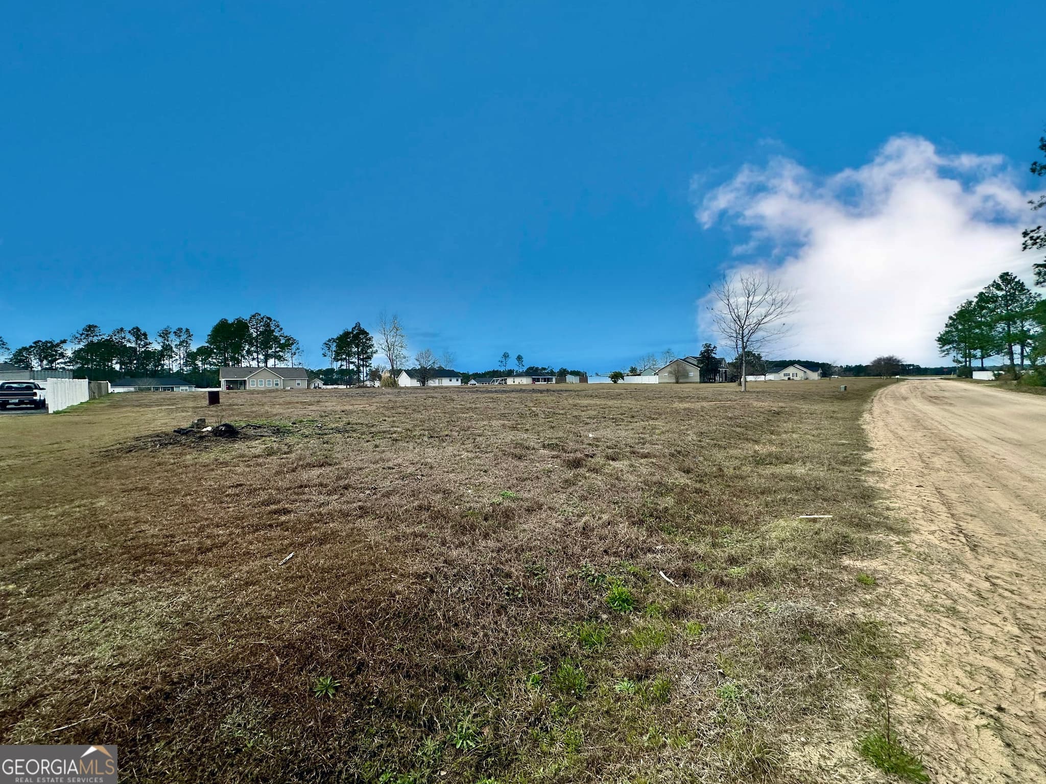 residential lot for sale at 0 Southside Drive, Blackshear, GA 31516 — photo 5