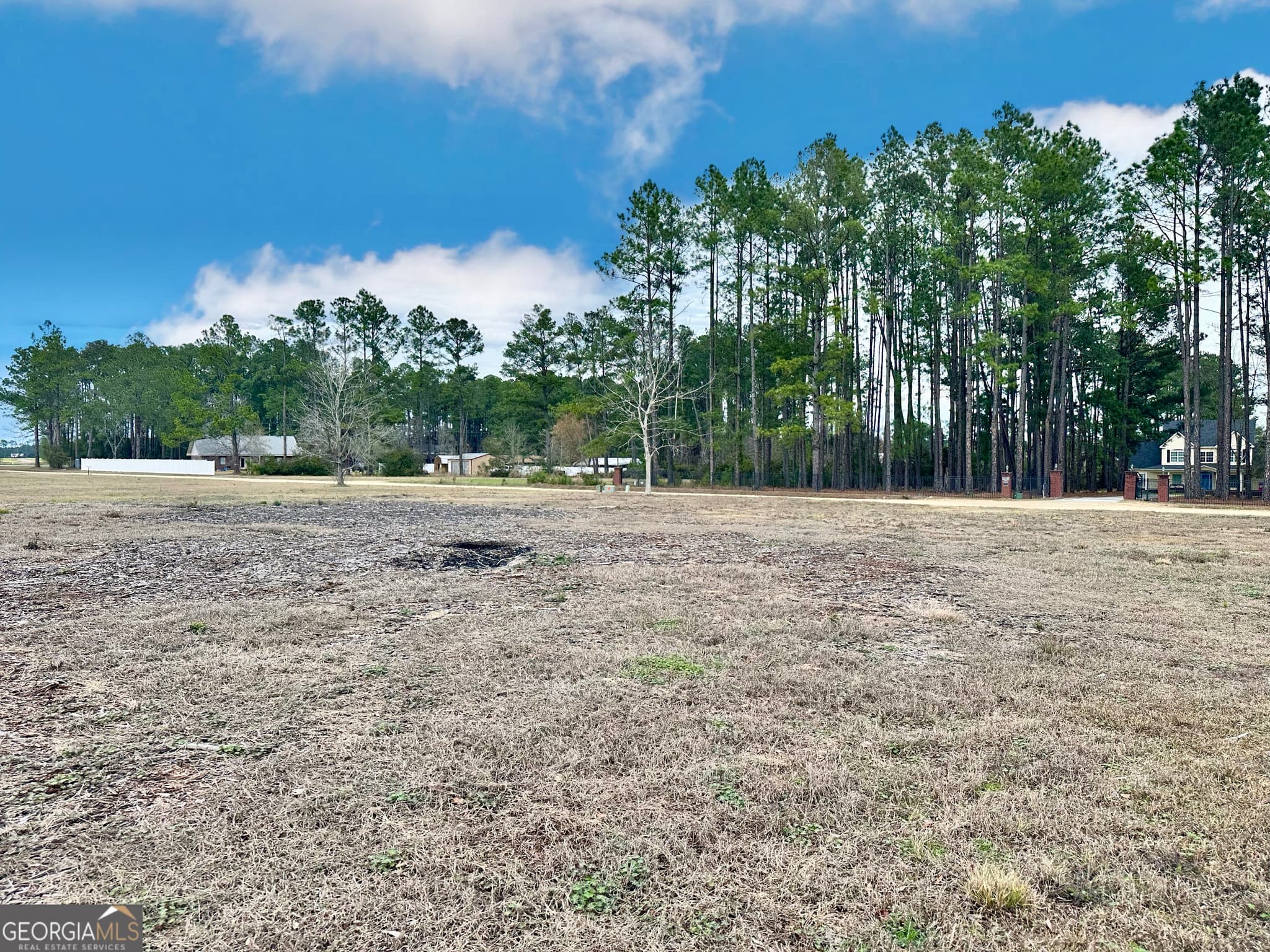 residential lot for sale at 0 Southside Drive, Blackshear, GA 31516 — photo 9