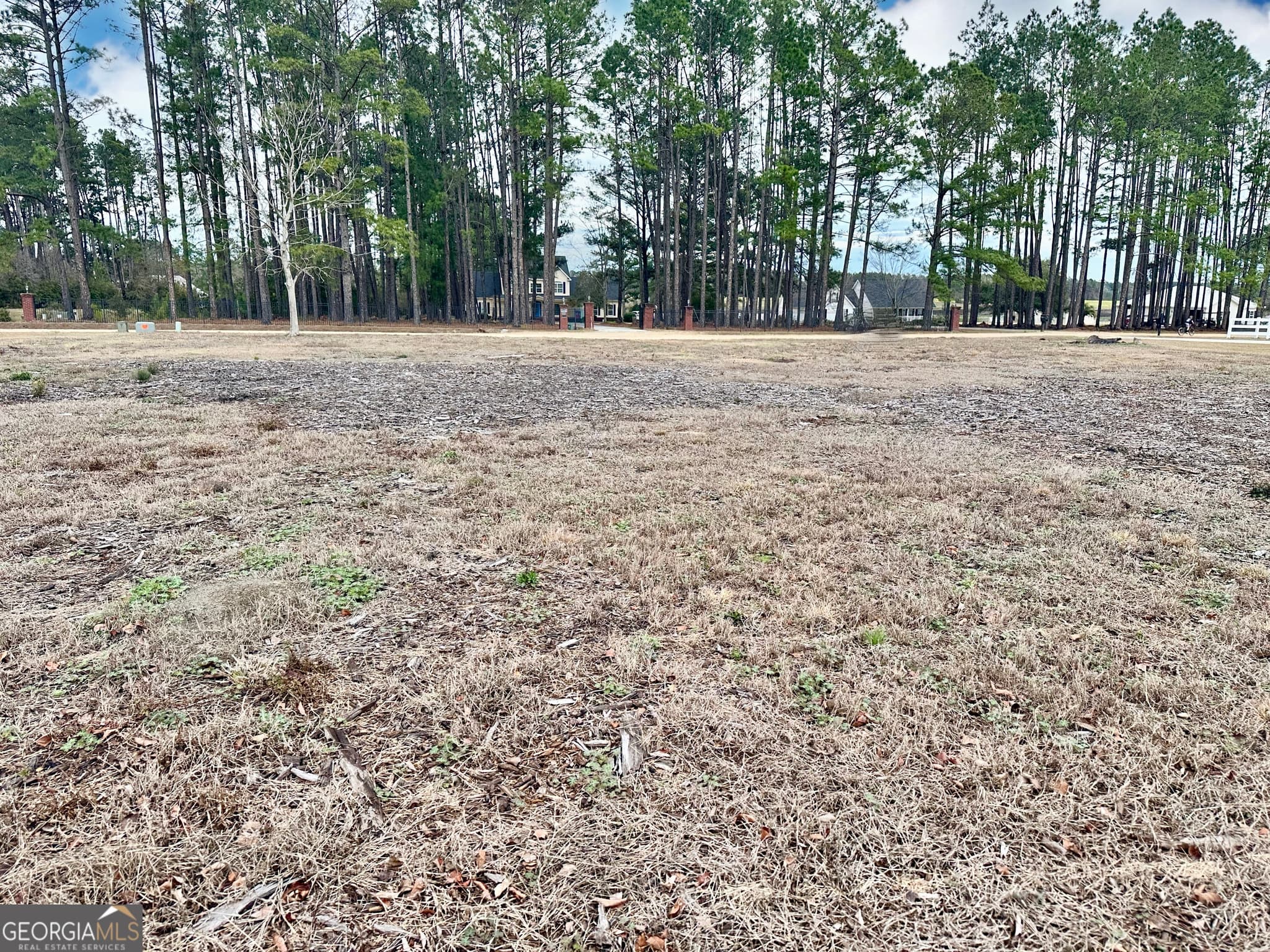 residential lot for sale at 0 Southside Drive, Blackshear, GA 31516 — photo 10