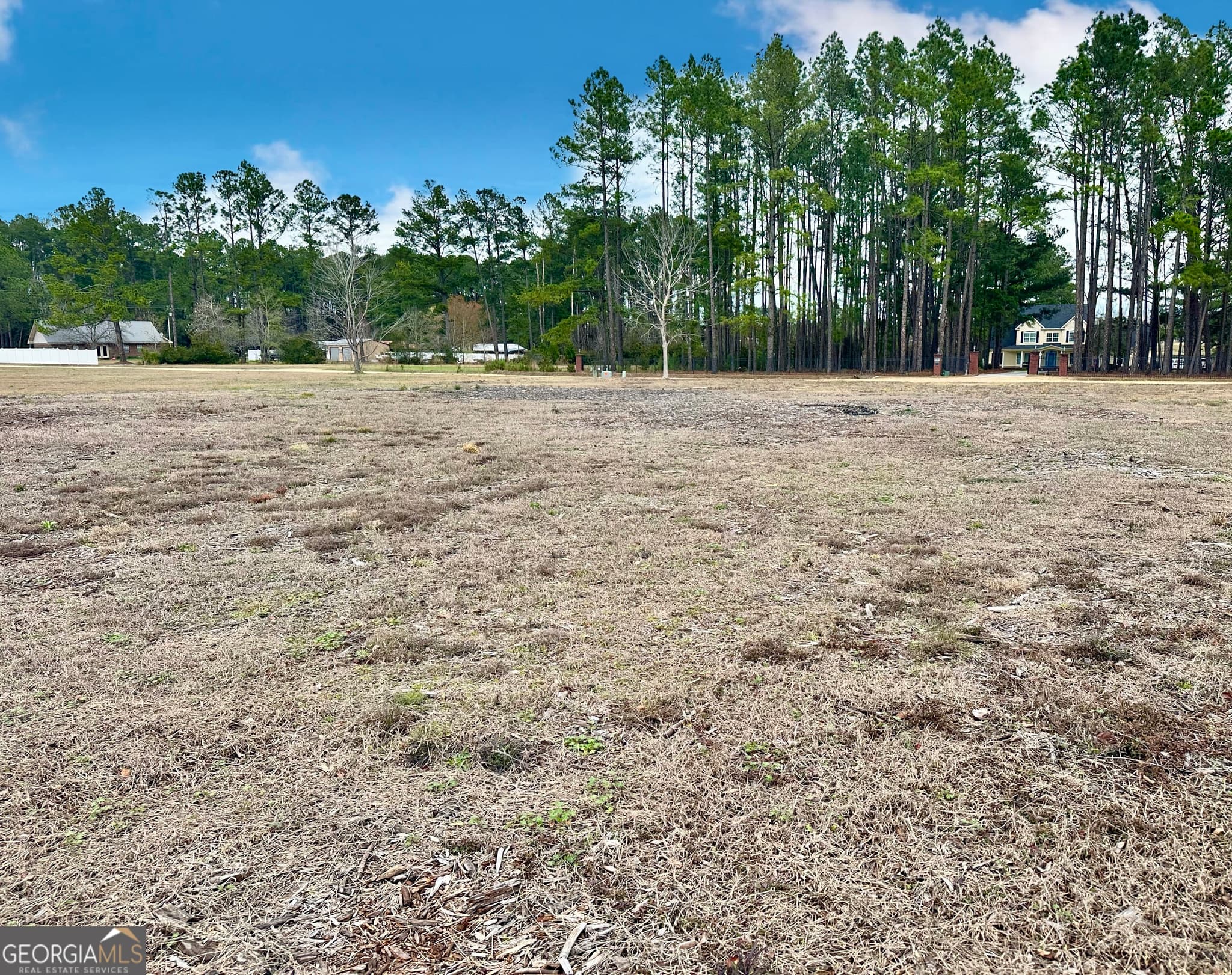 residential lot for sale at 0 Southside Drive, Blackshear, GA 31516 — photo 4