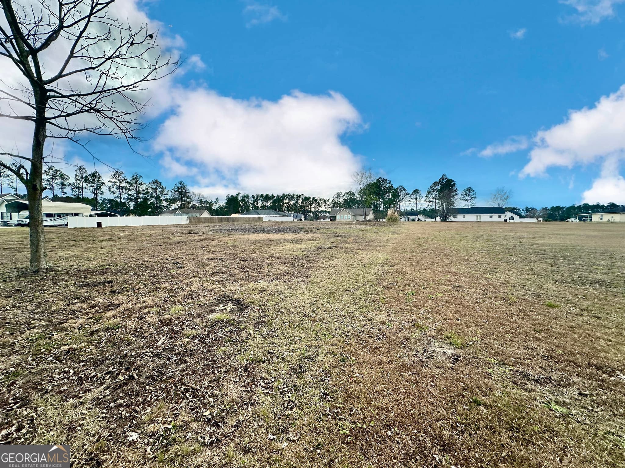 residential lot for sale at 0 Southside Drive, Blackshear, GA 31516 — photo 8